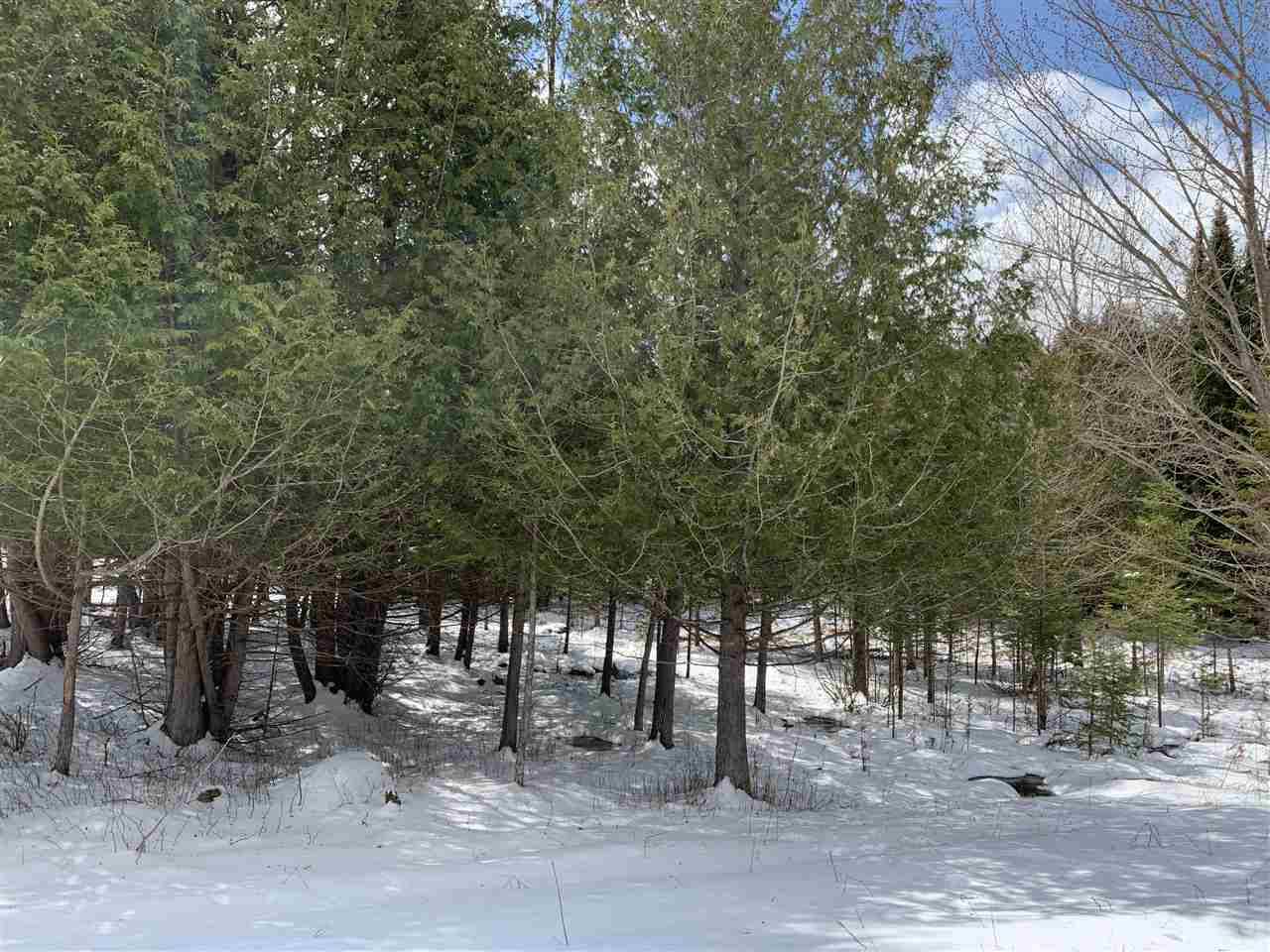 Wittenberg, WI 54499,Lot 19 KEEGAN COURT