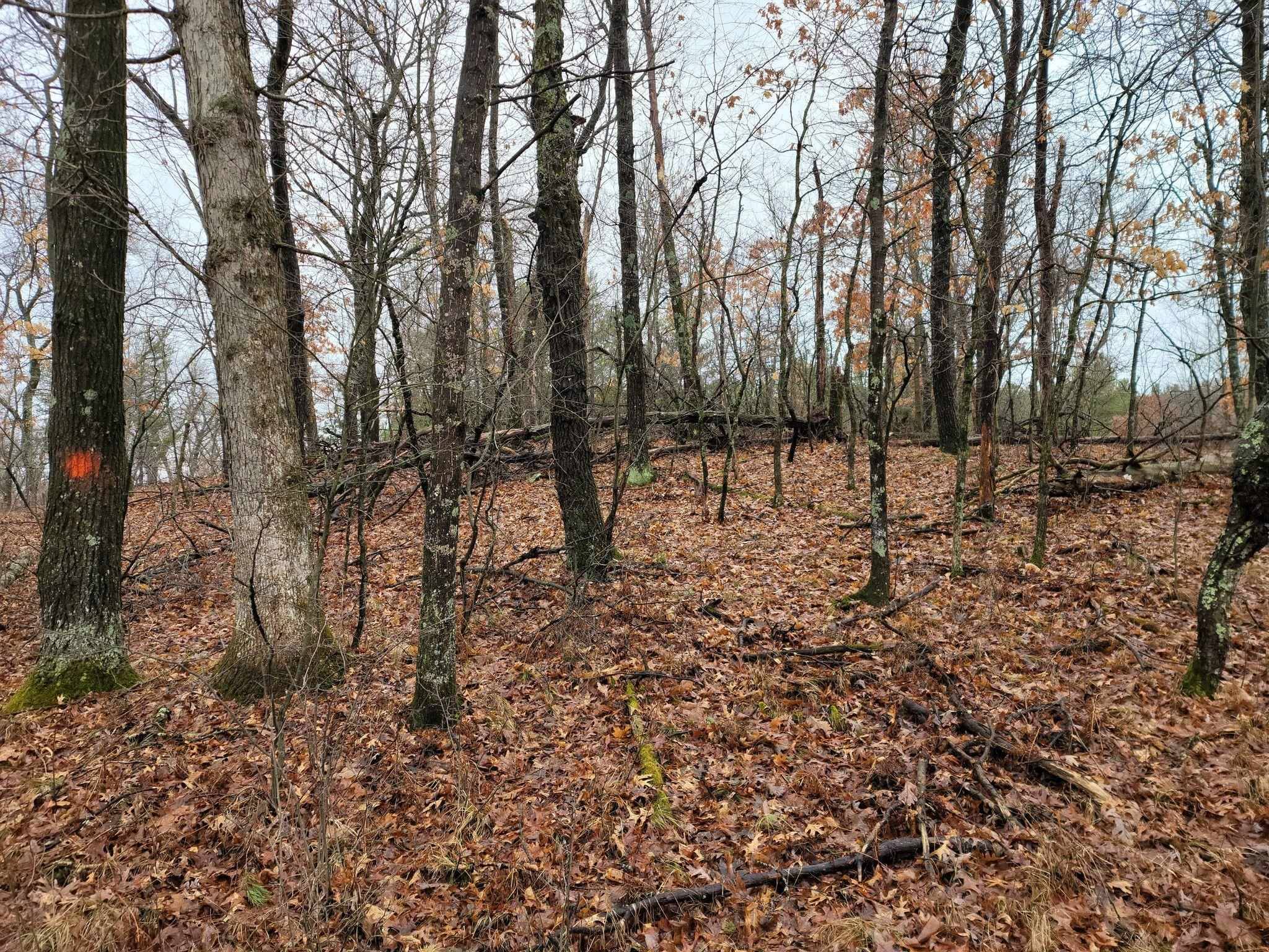 Nekoosa, WI 54457,1089 W QUEENS WAY