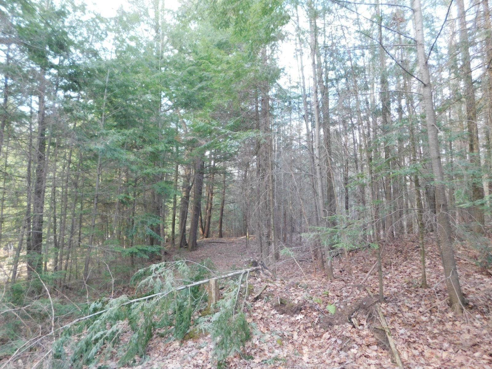 Irma, WI 54442,N5656 COUNTY ROAD K