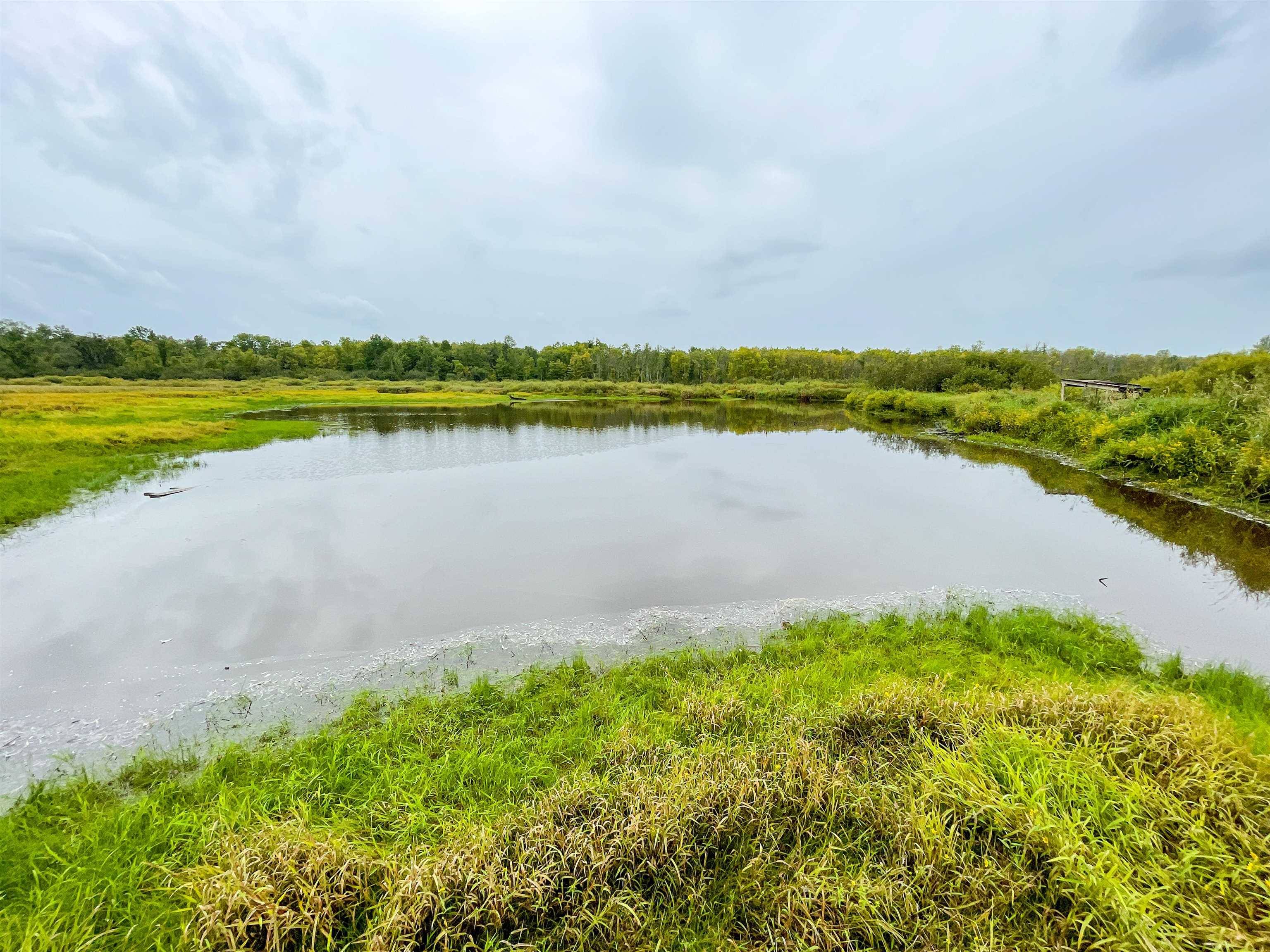 Sheldon, WI 54766,00 WILDFLOWER ROAD