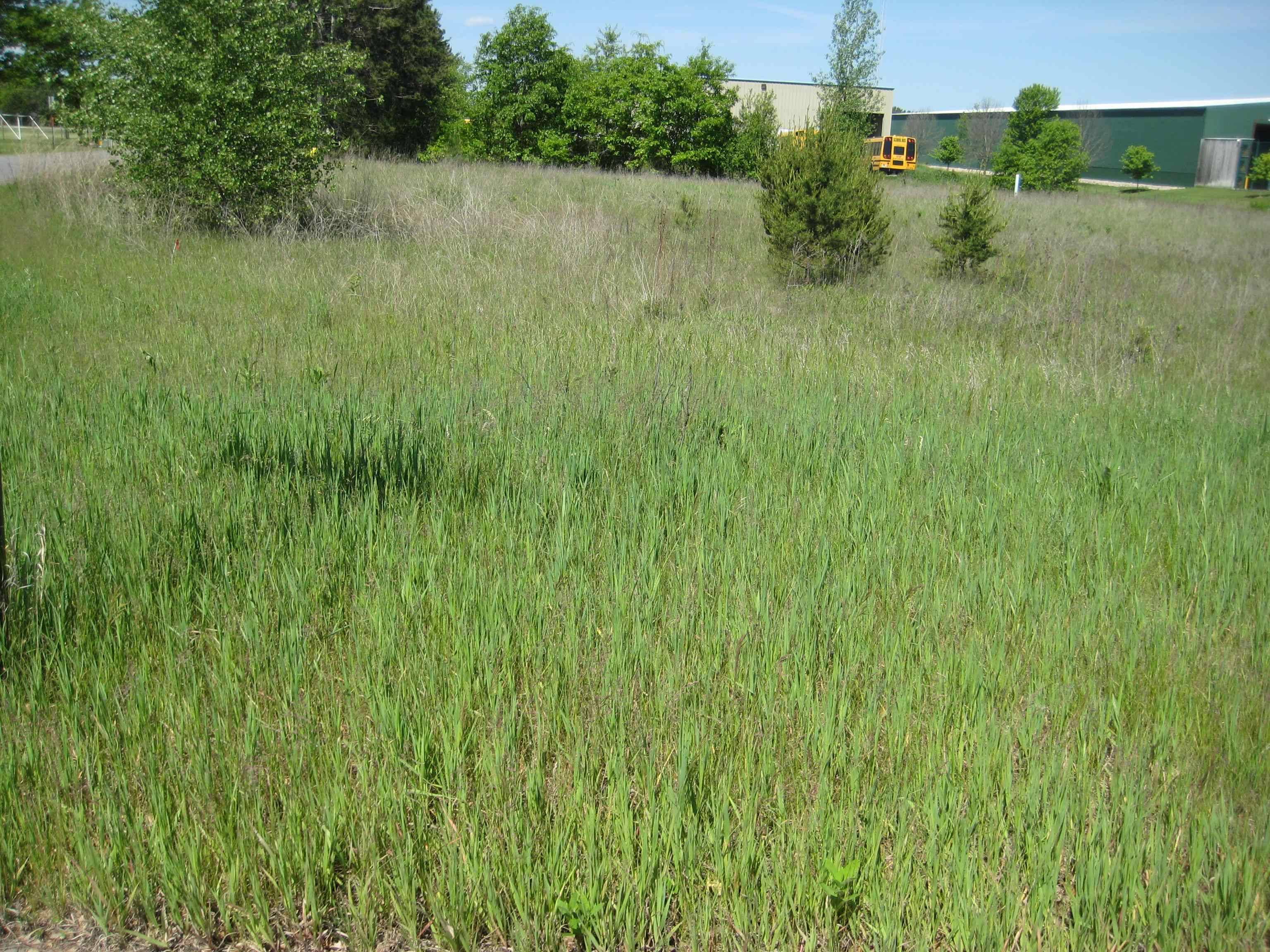 Plover, WI 54467,0 MAPLE DRIVE #Menards Dr
