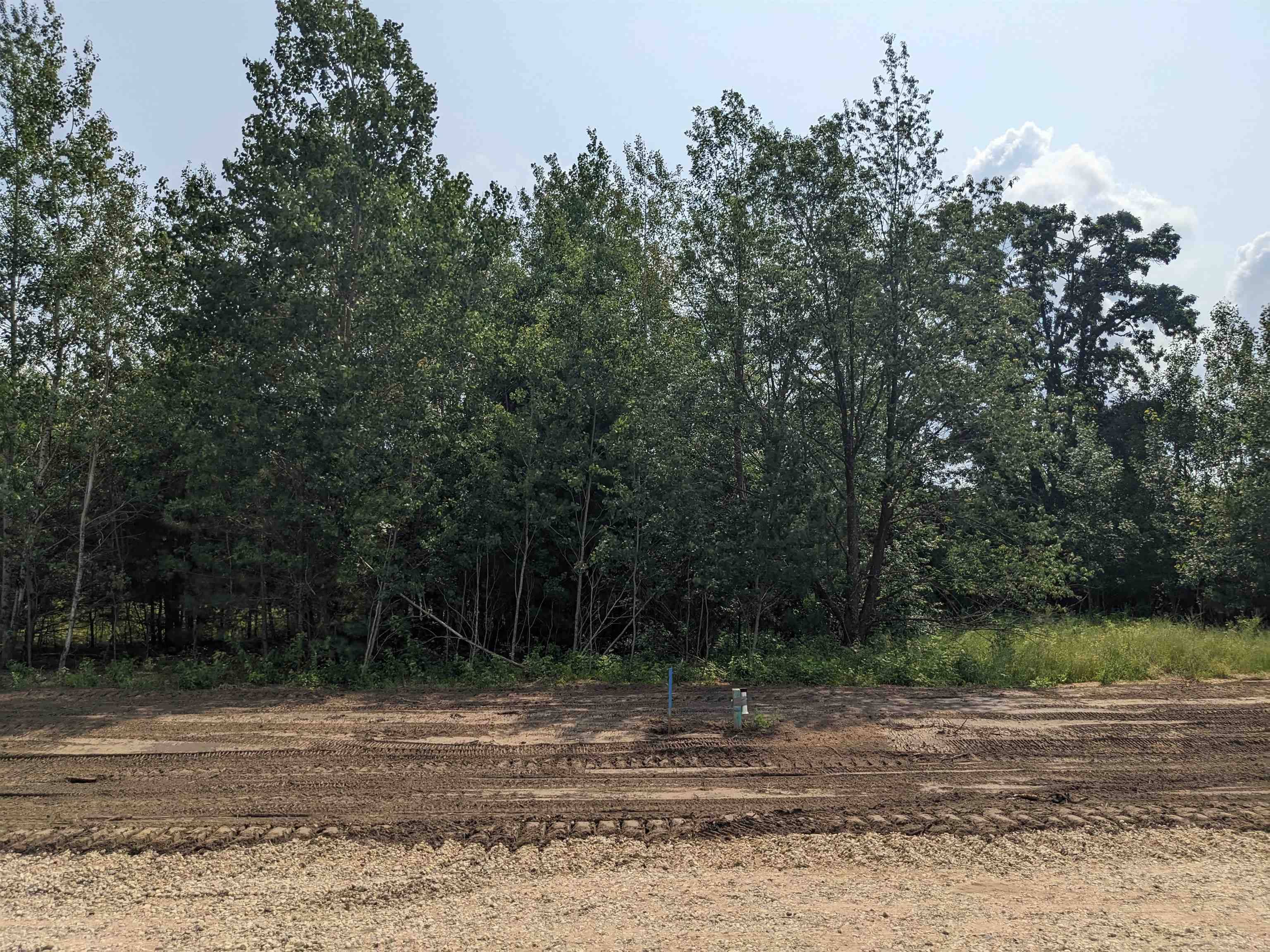 Plover, WI 54467,775 Torrey Pines Court #Lot #87