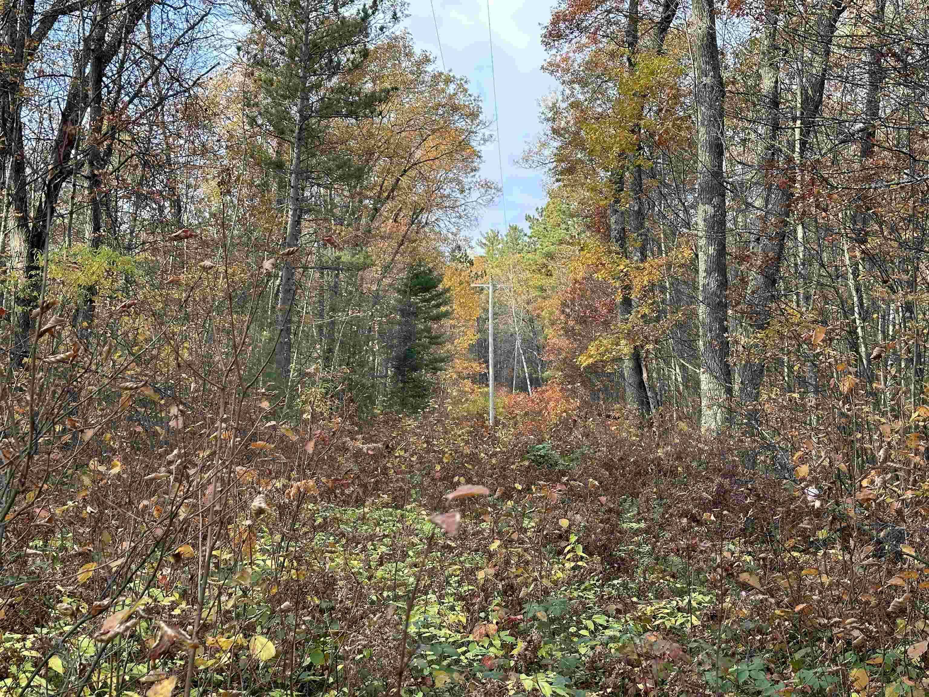 Lac Du Flambeau, WI 54538,Lot on CTH F