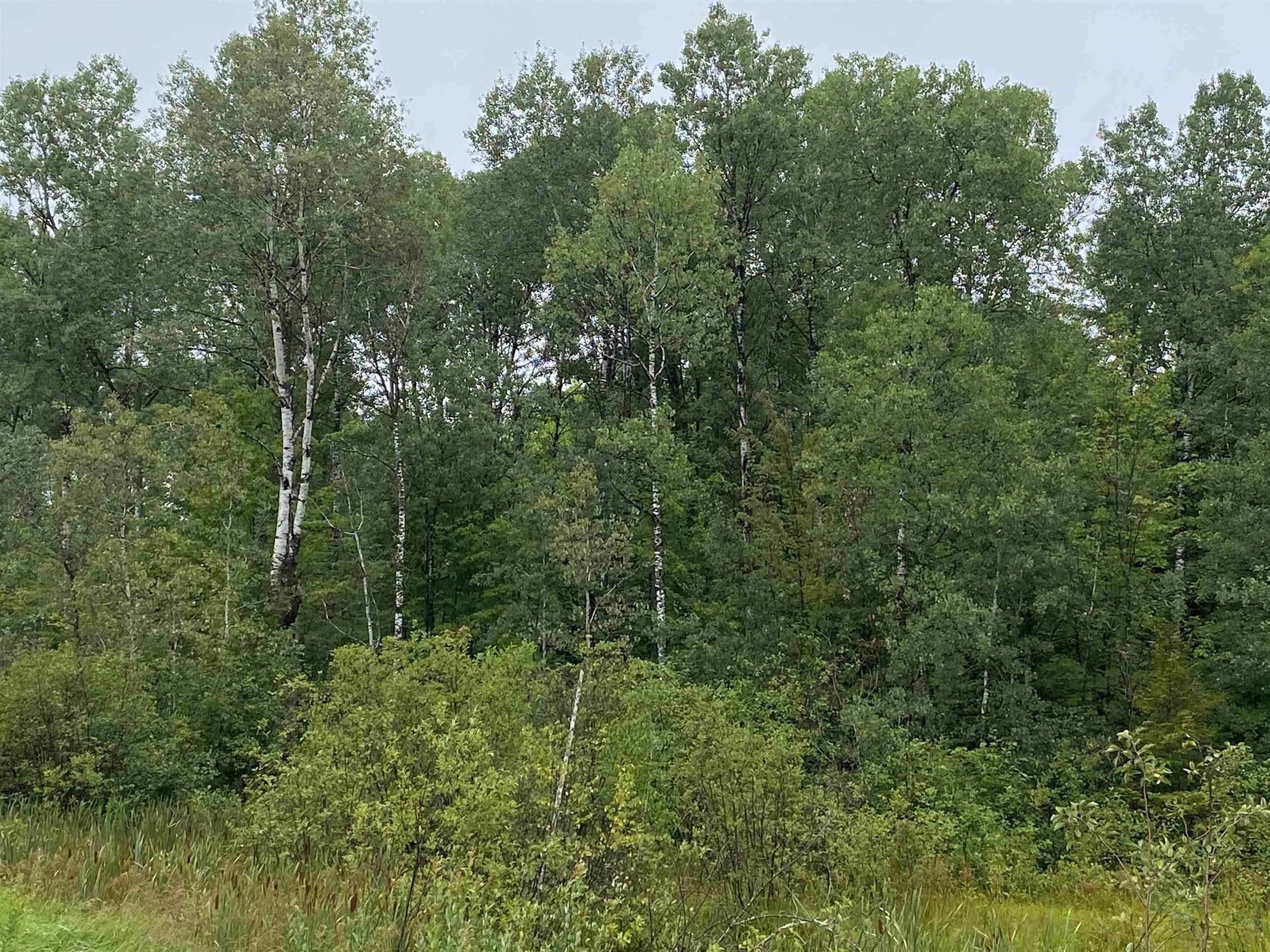 Merrill, WI 54452,On HAGAR CITY ROAD #Sale 2043-2
