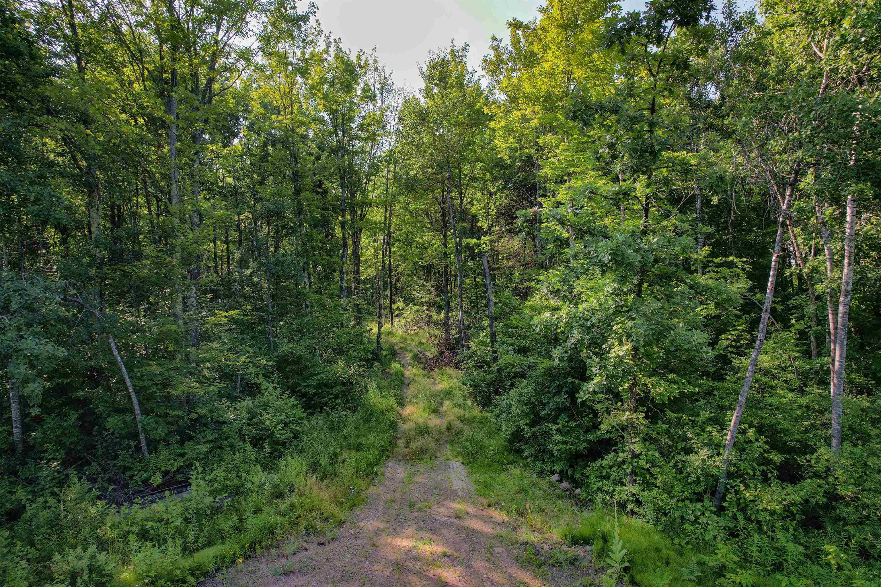 Ojibwa, WI 54862,Lot 15 SCOUT TRAIL