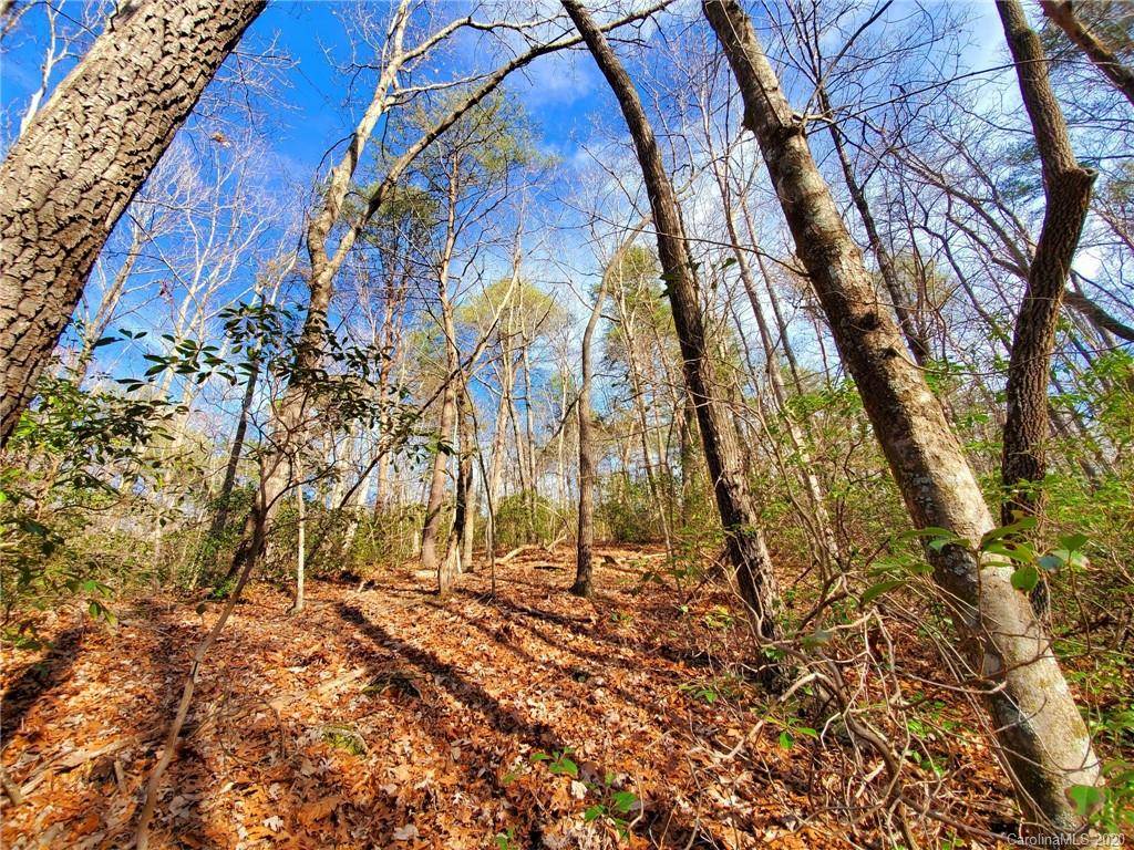 Columbus, NC 28722,00 Mountain View Drive #35 and 36