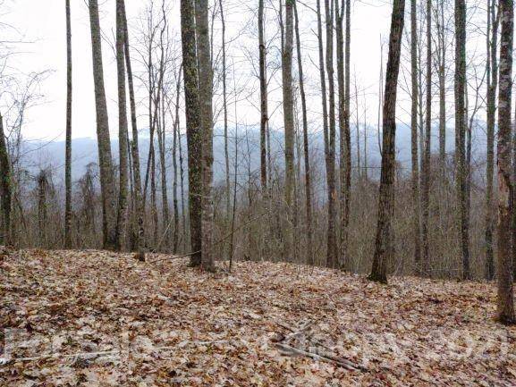 Sylva, NC 28779,406 High Line Road #31