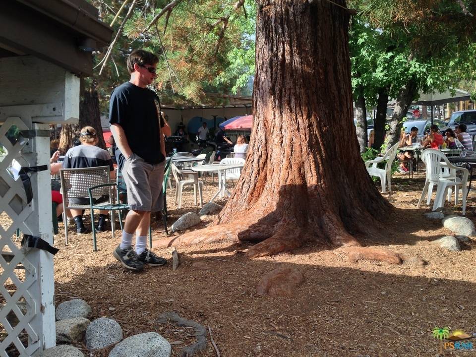 Idyllwild, CA 92549,25875 VILLAGE CENTER DR