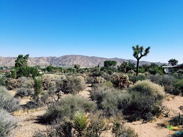 Yucca Valley, CA 92284,8023 Deer Trail