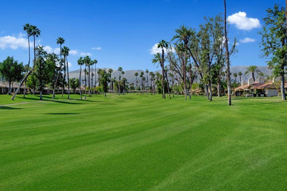 Palm Desert, CA 92260,244 Serena DR