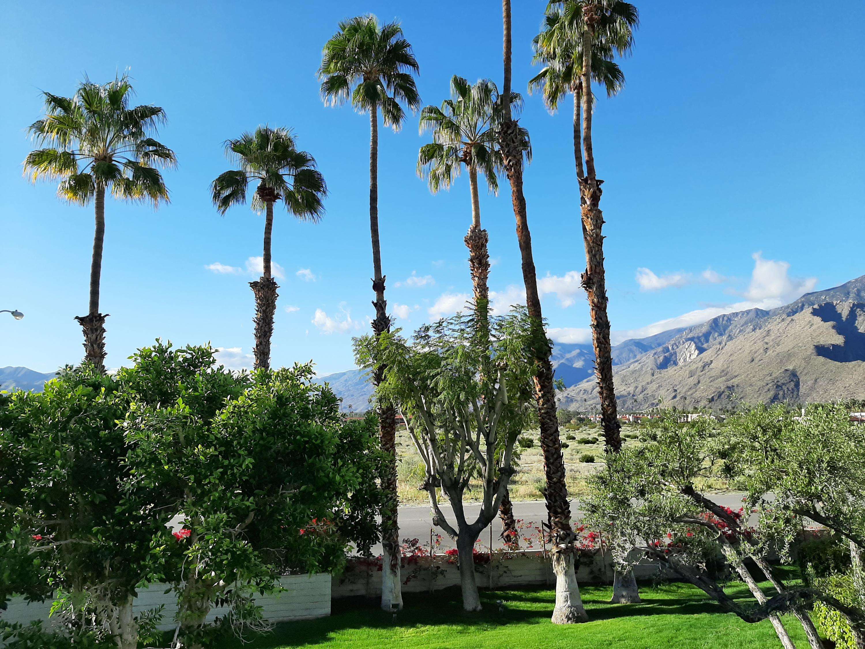 Palm Springs, CA 92262,351 N Hermosa DR #1d2