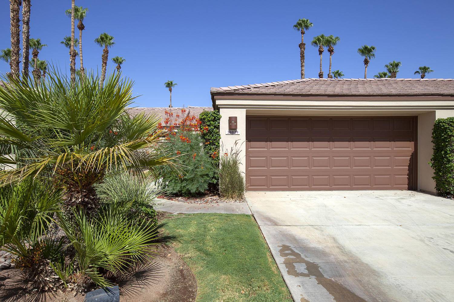 Palm Desert, CA 92211,38829 Lobelia CIR