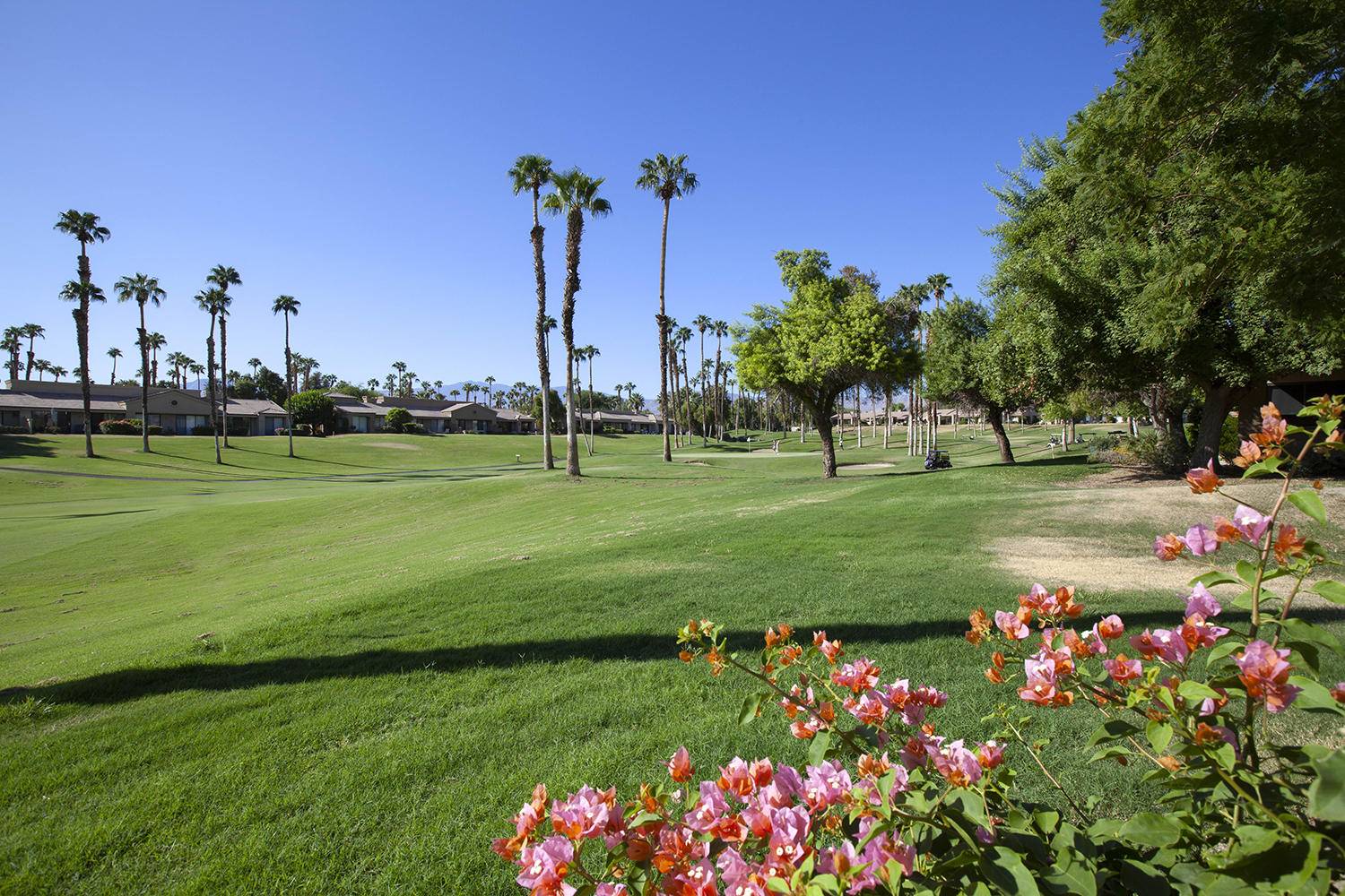 Palm Desert, CA 92211,38910 Lobelia CIR