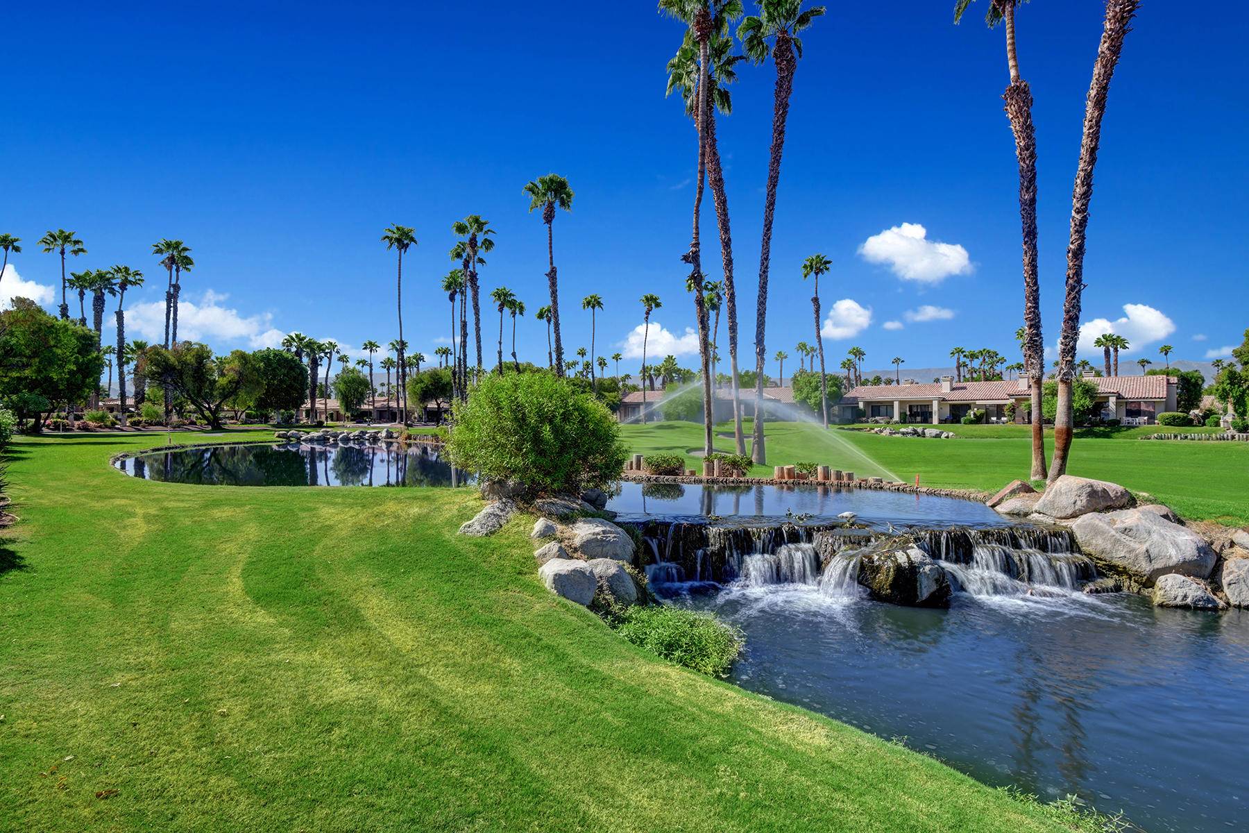 Palm Desert, CA 92211,38397 Gazania CIR