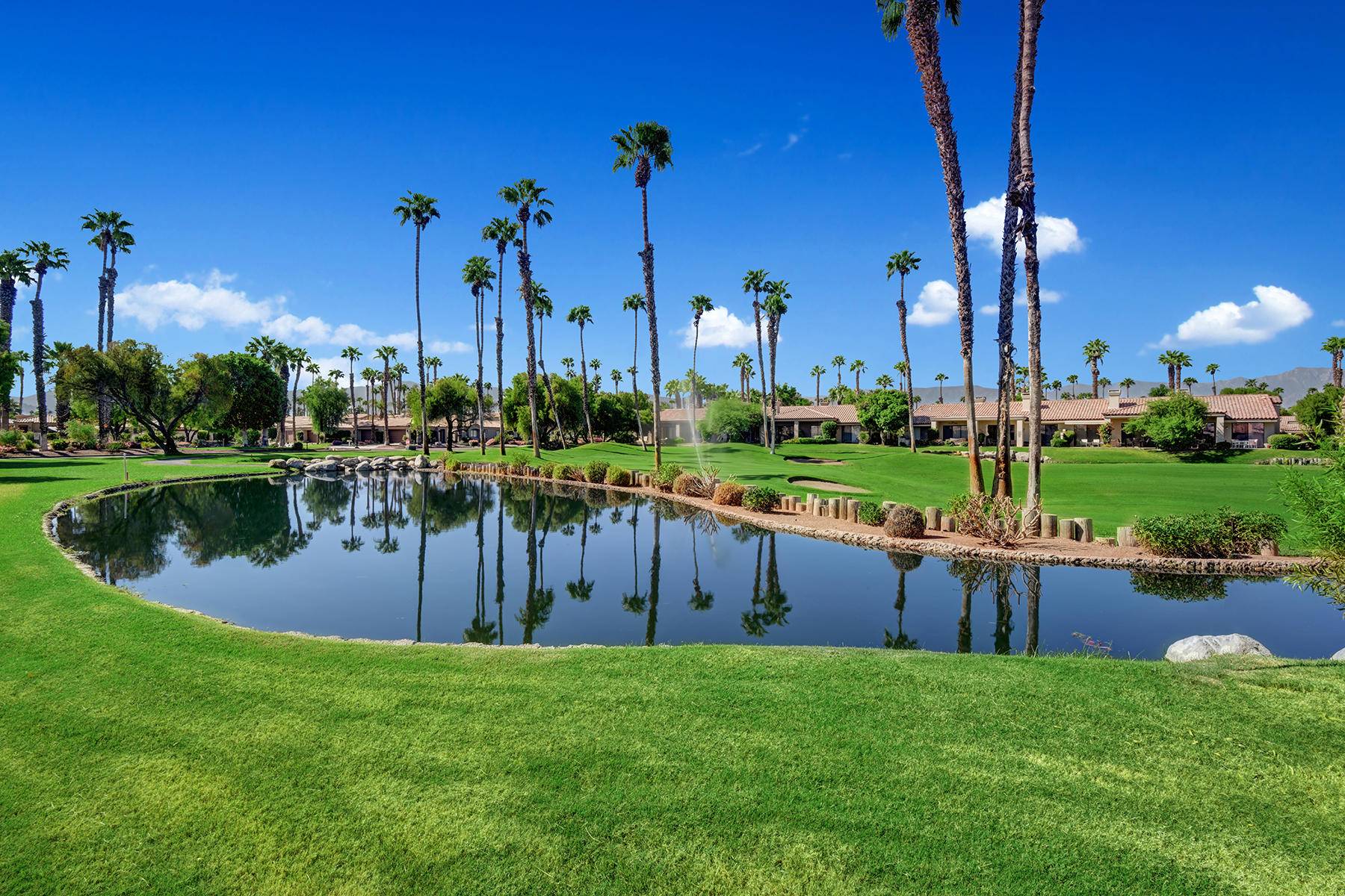 Palm Desert, CA 92211,38397 Gazania CIR