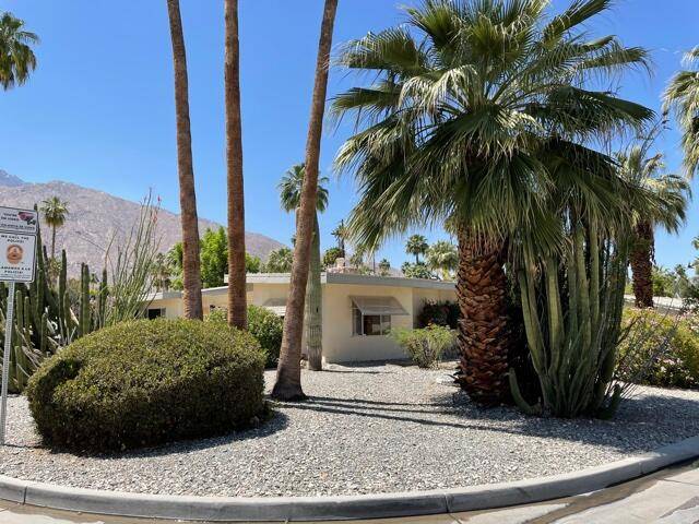 Palm Springs, CA 92264,1440 Palm Tree DR