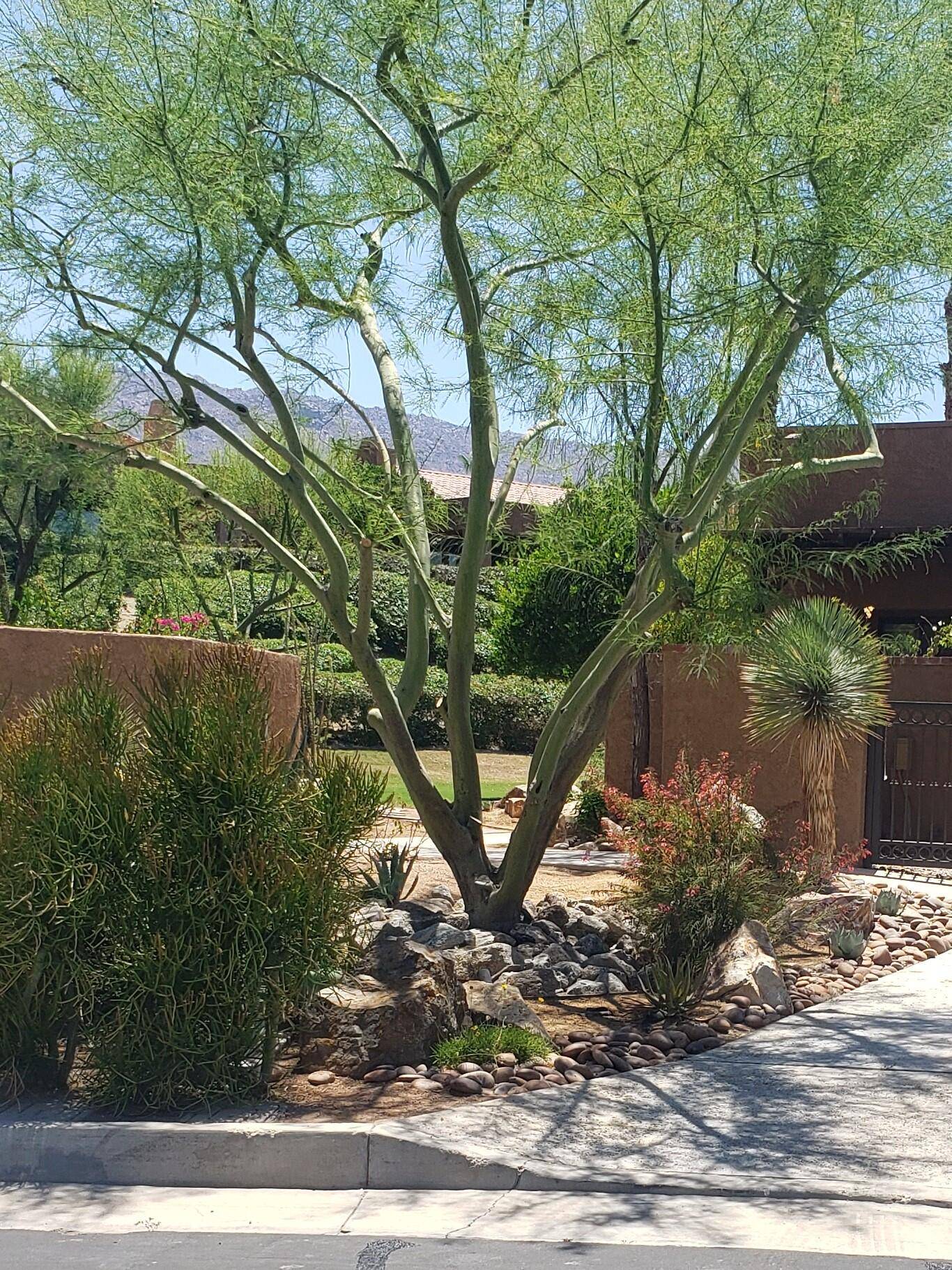 Palm Desert, CA 92260,48634 Palo Verde CT