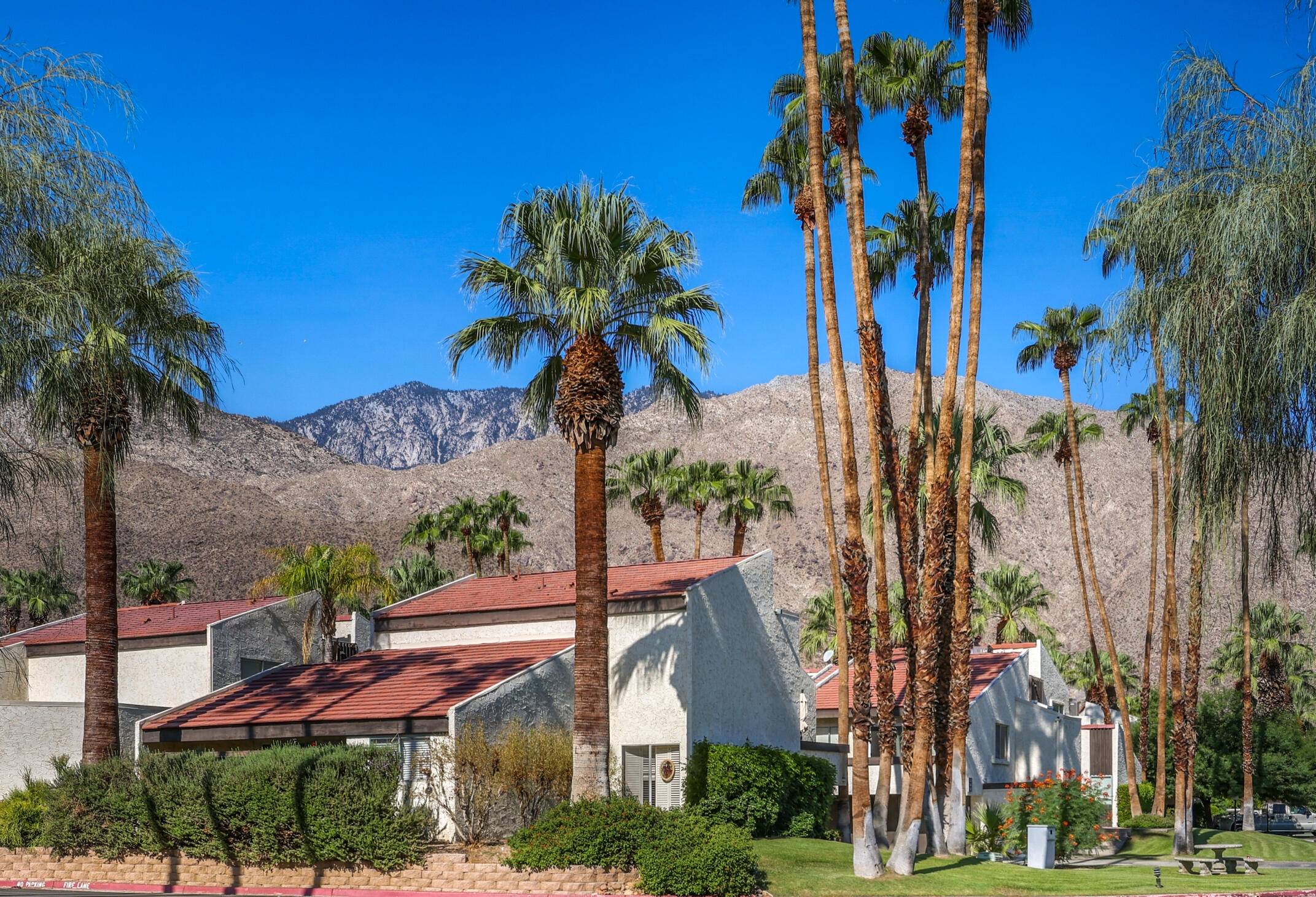 Palm Springs, CA 92264,1354 S Camino Real