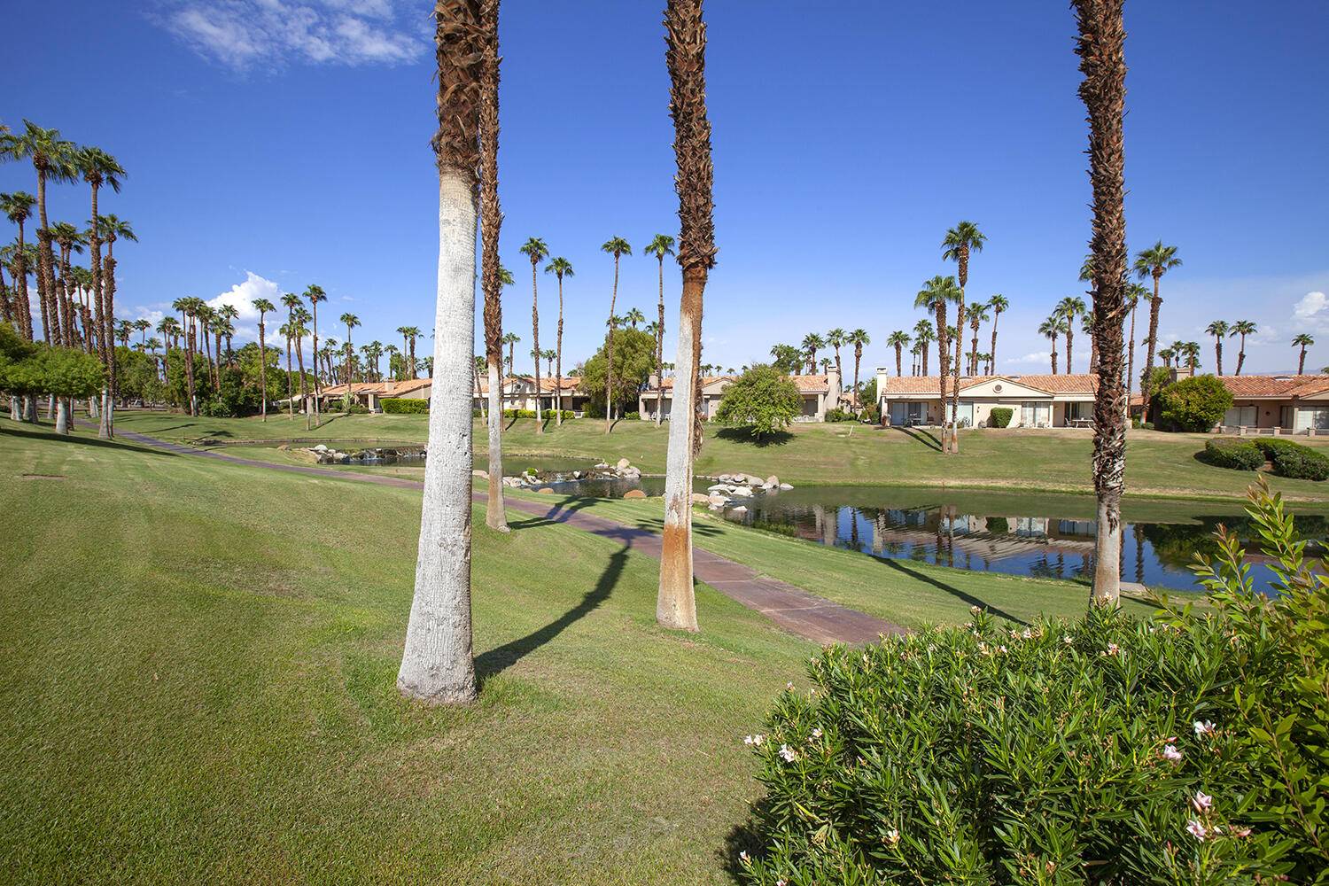 Palm Desert, CA 92211,76564 Begonia LN