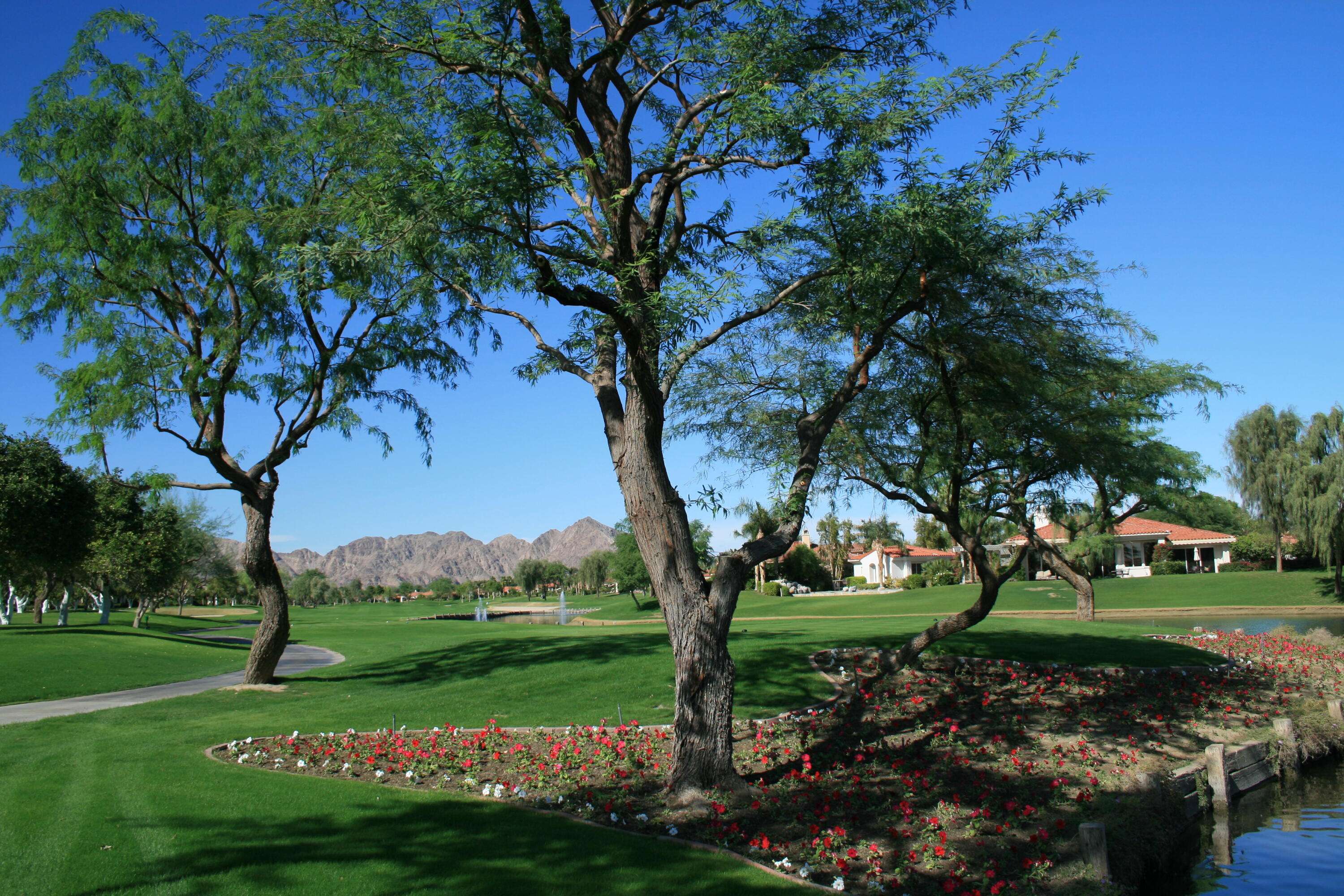 La Quinta, CA 92253,79390 Azahar