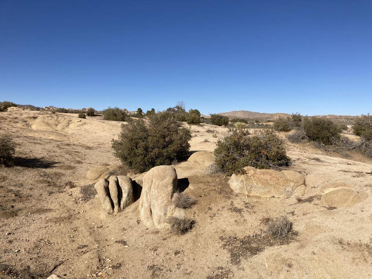 Pioneertown, CA 92268,51787 Saddle LN