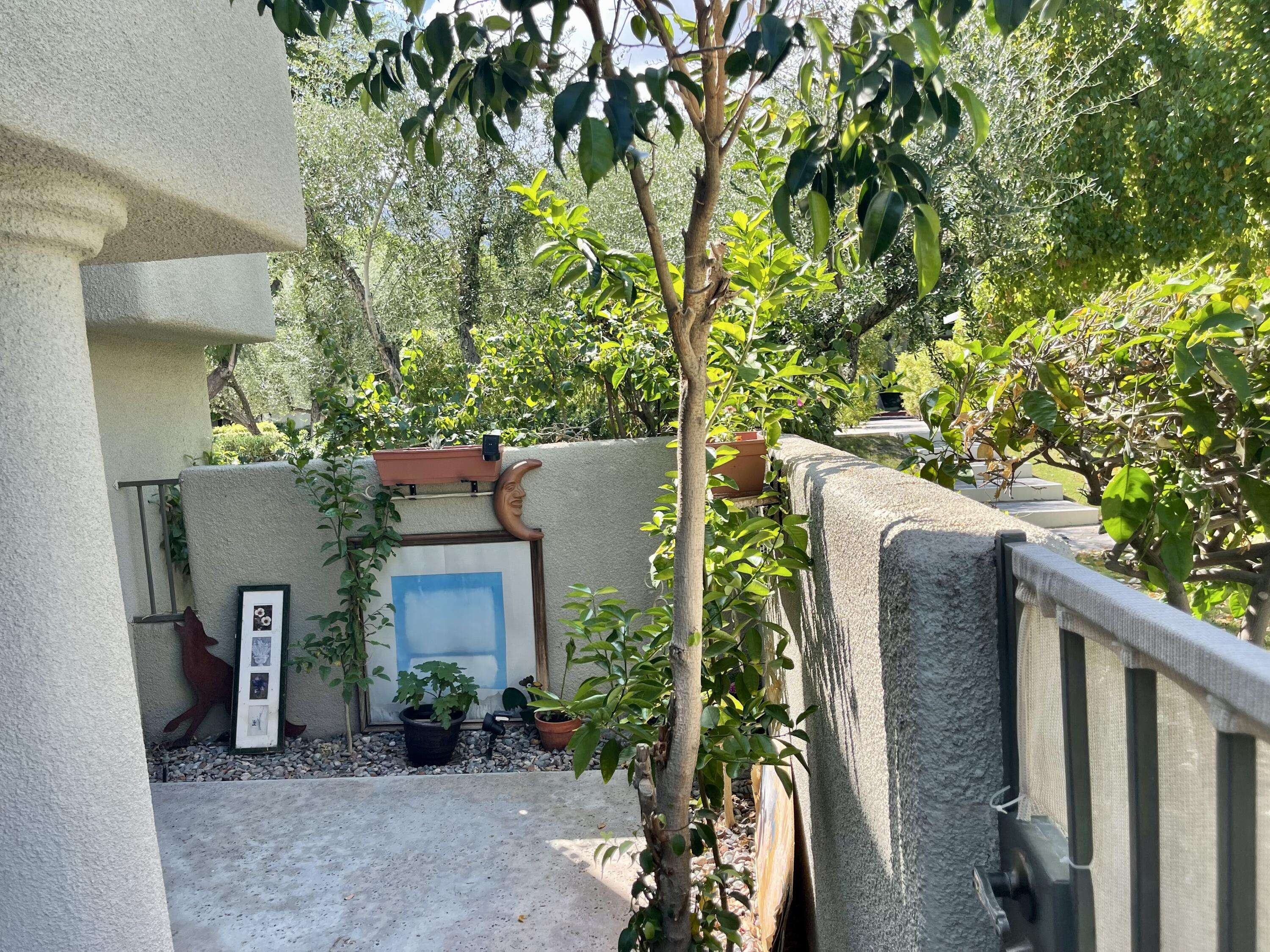 Palm Springs, CA 92262,351 N Hermosa DR #1a1