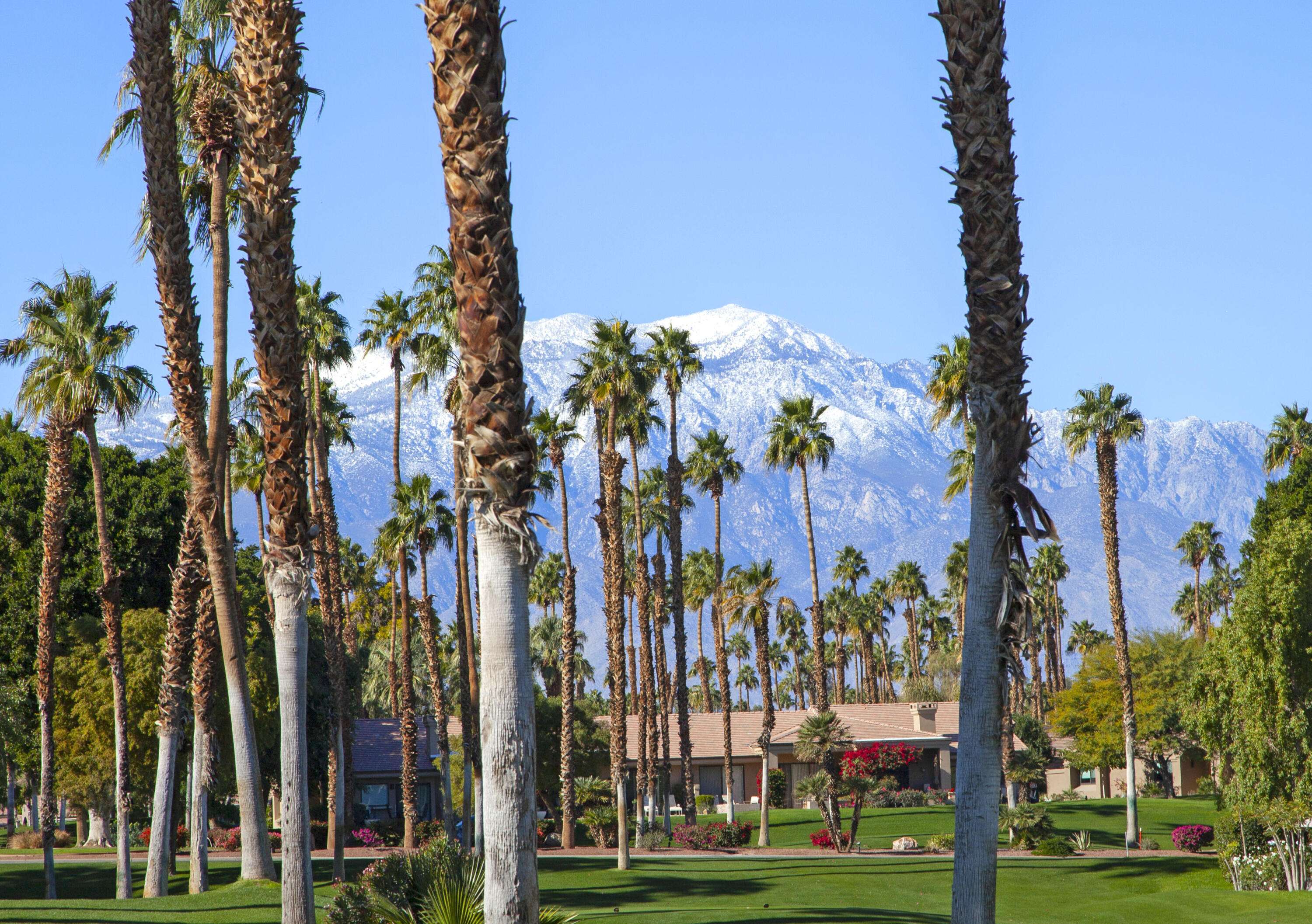 Palm Desert, CA 92211,76728 Chrysanthemum WAY