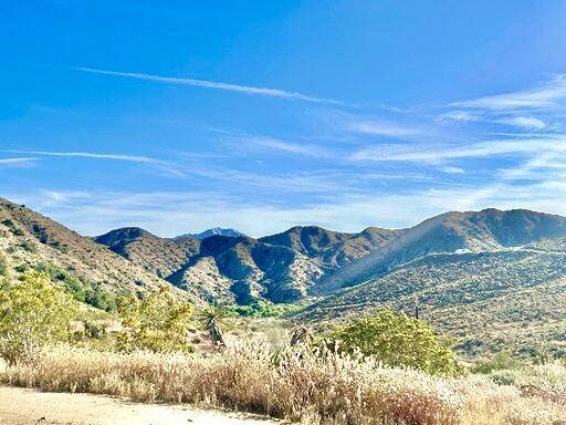 Morongo Valley, CA 92256,111 Loma Alta DR