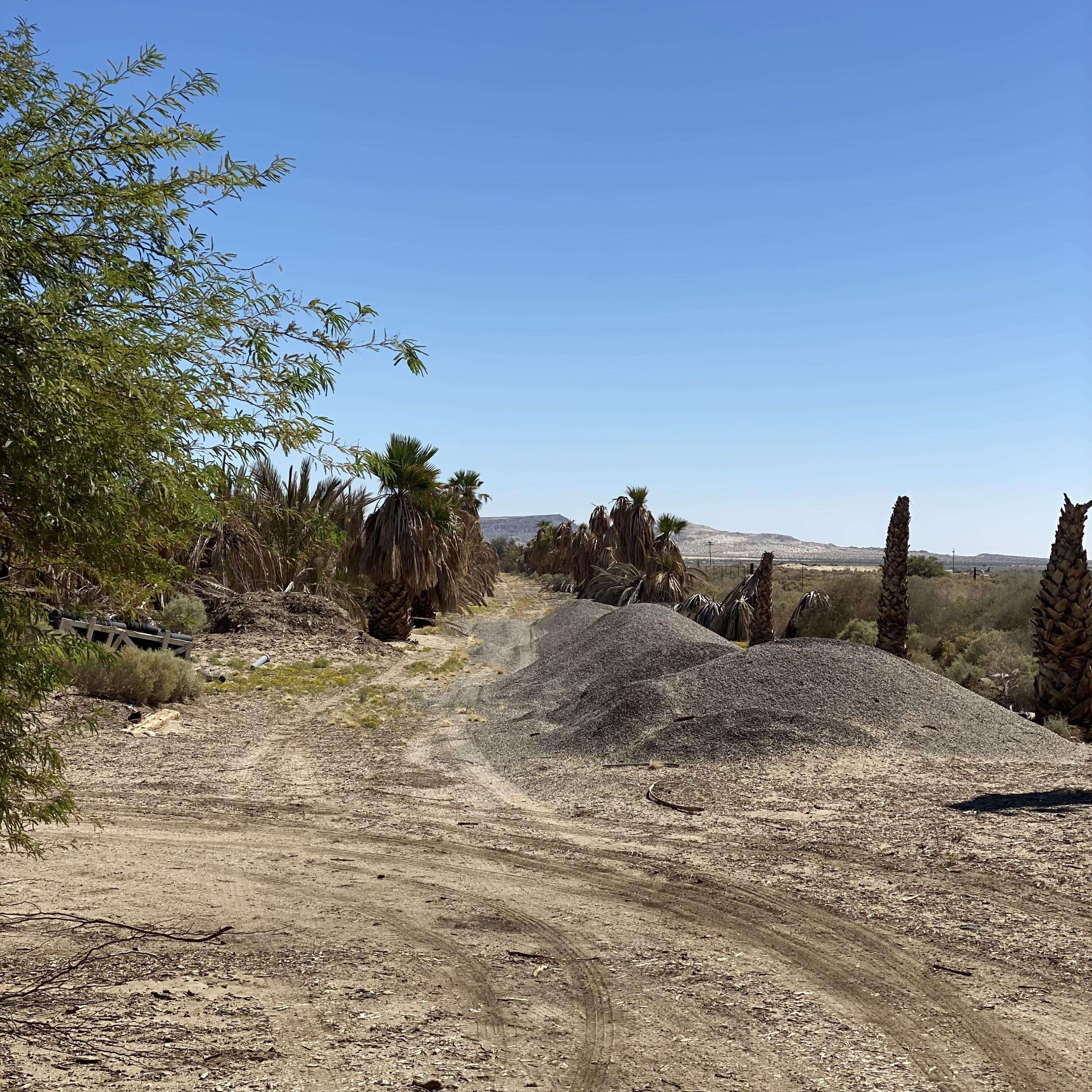 Borrego Springs, CA 92004,0 Borrego Valley Rd. RD