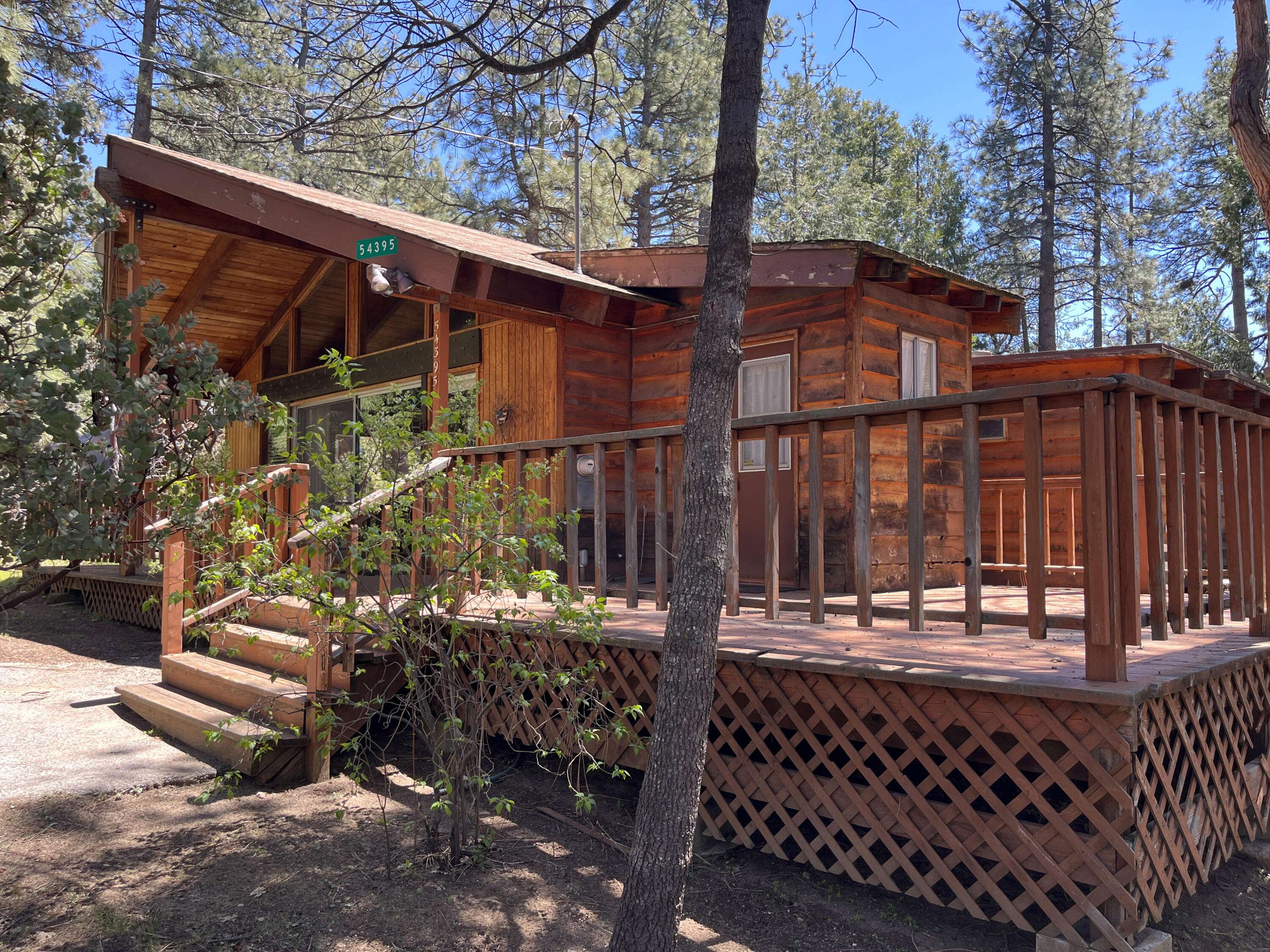 Idyllwild, CA 92549,54395 Live Oak