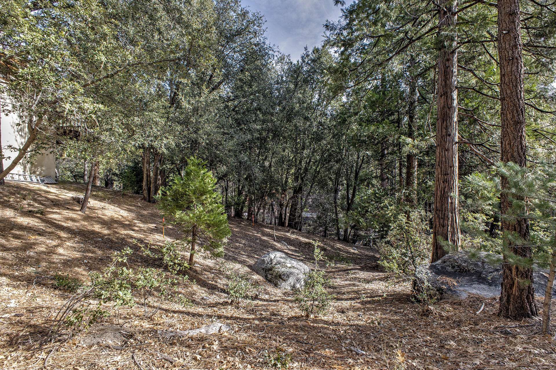 Idyllwild, CA 92549,156 Pine Crest AVE