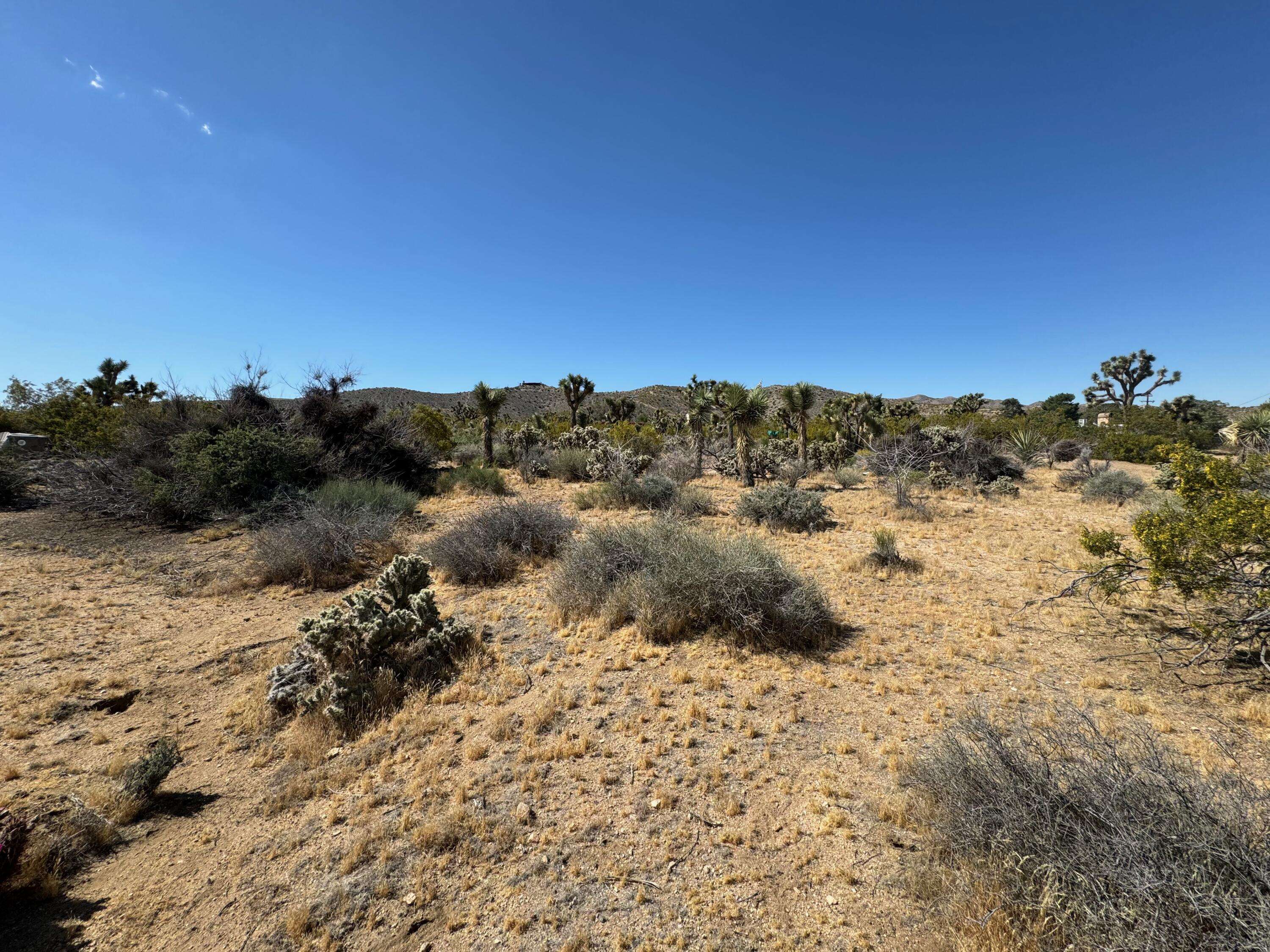 Yucca Valley, CA 92284,57803 Coronado St