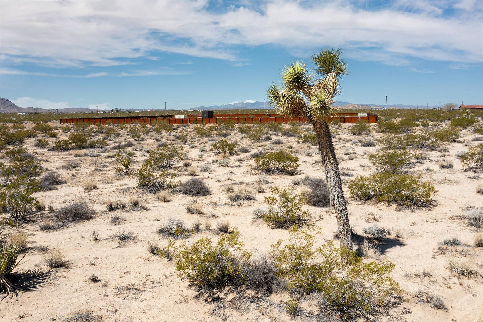 Joshua Tree, CA 92252,102 Moonlight Mesa RD