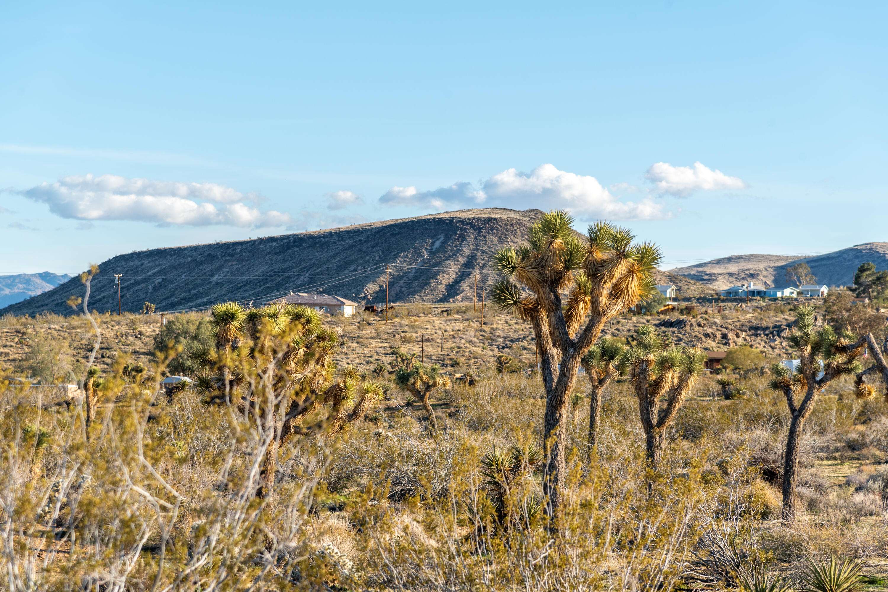 Yucca Valley, CA 92284,0 Jemez TRL