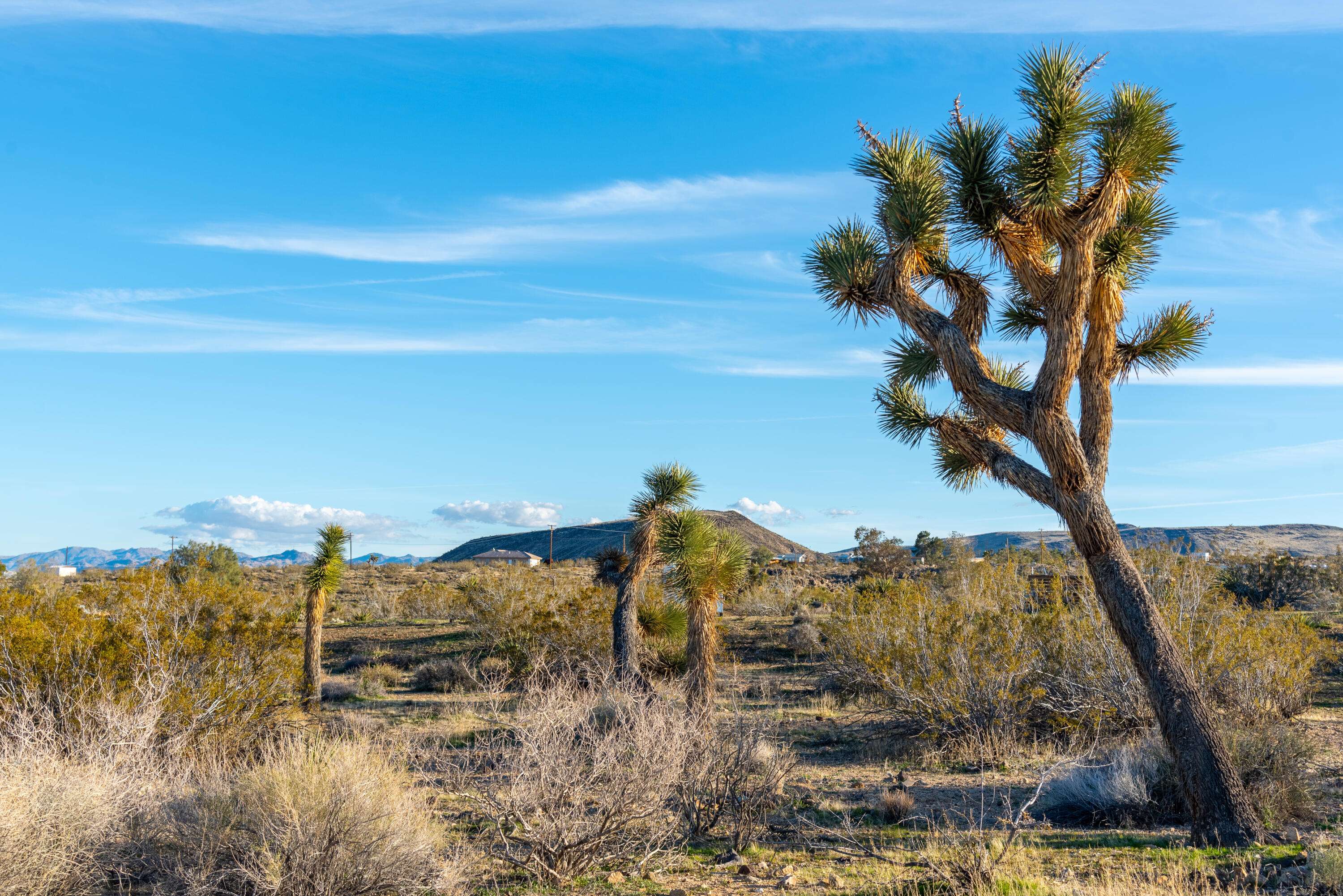 Yucca Valley, CA 92284,0 Jemez TRL