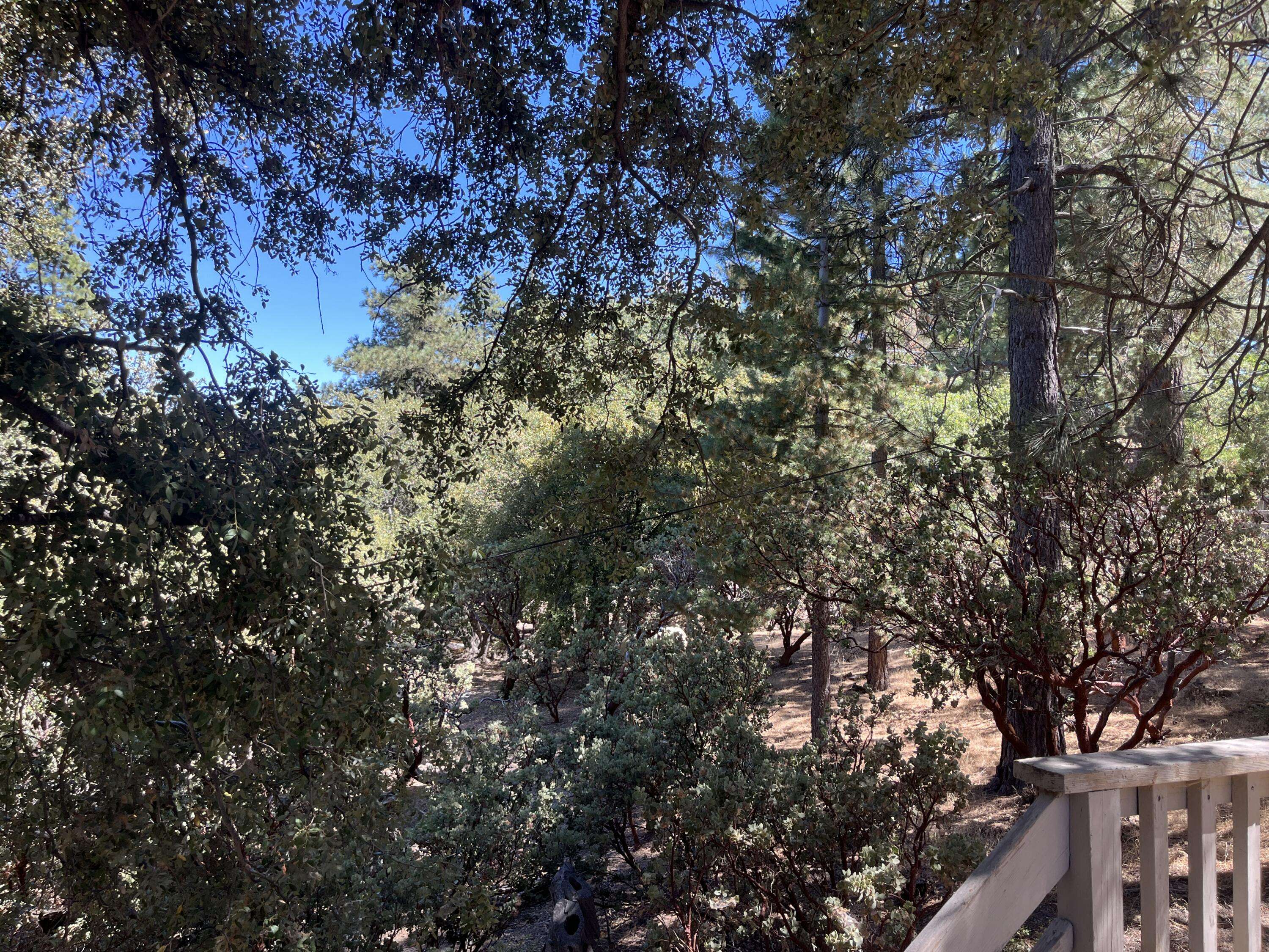 Idyllwild, CA 92549,52895 Cedar DR