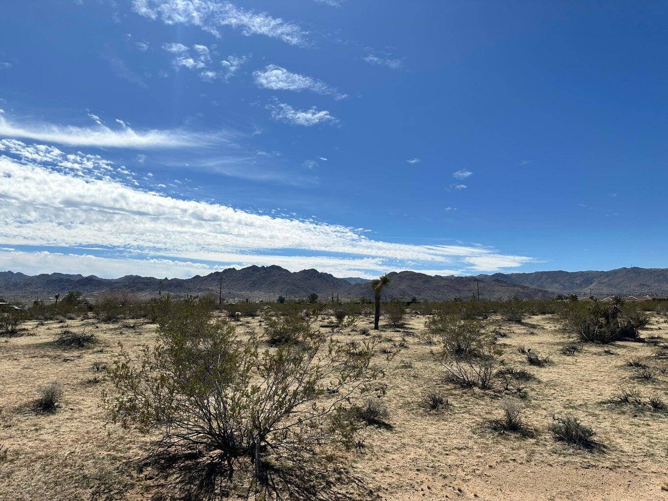 Joshua Tree, CA 92252,0 Neptune AVE