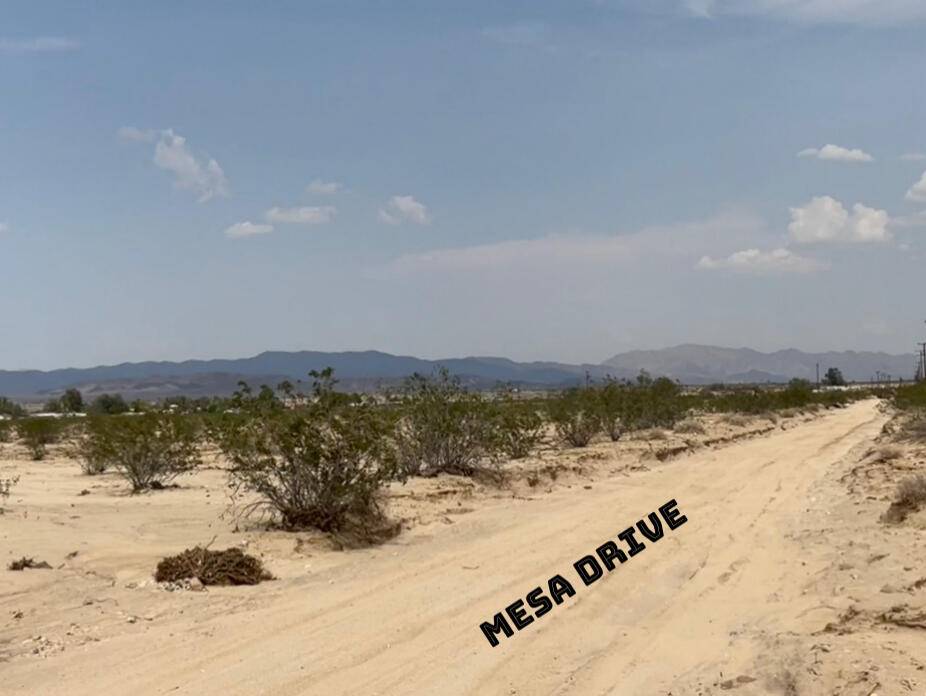 29 Palms, CA 92277,0 Mesa DR