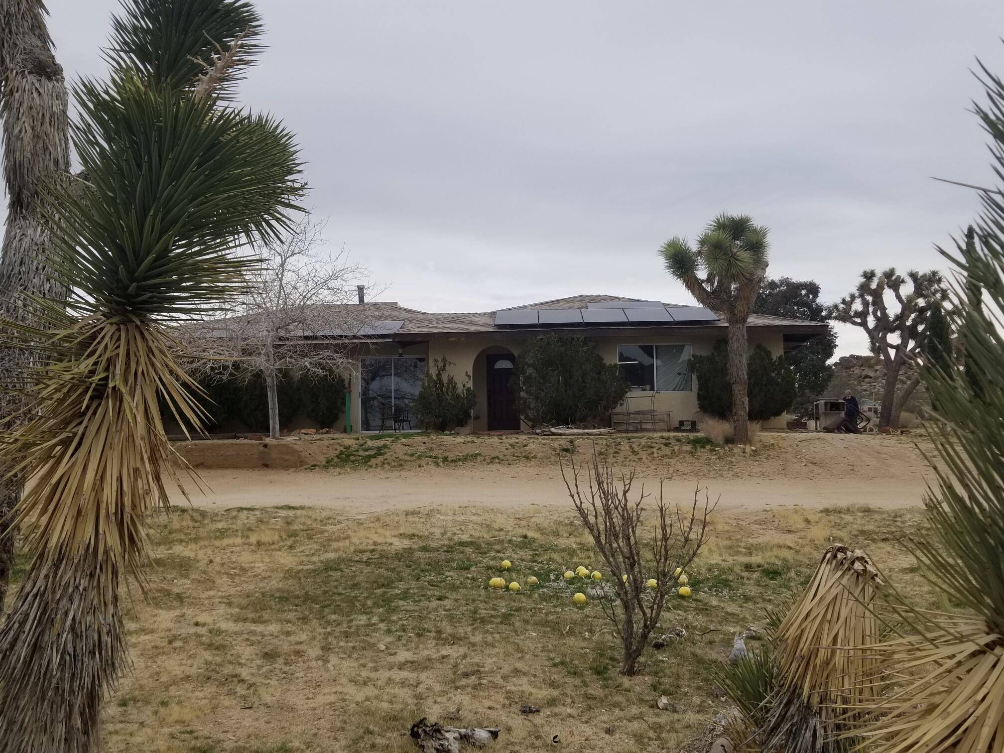 Joshua Tree, CA 92252,63025 Turtle RD