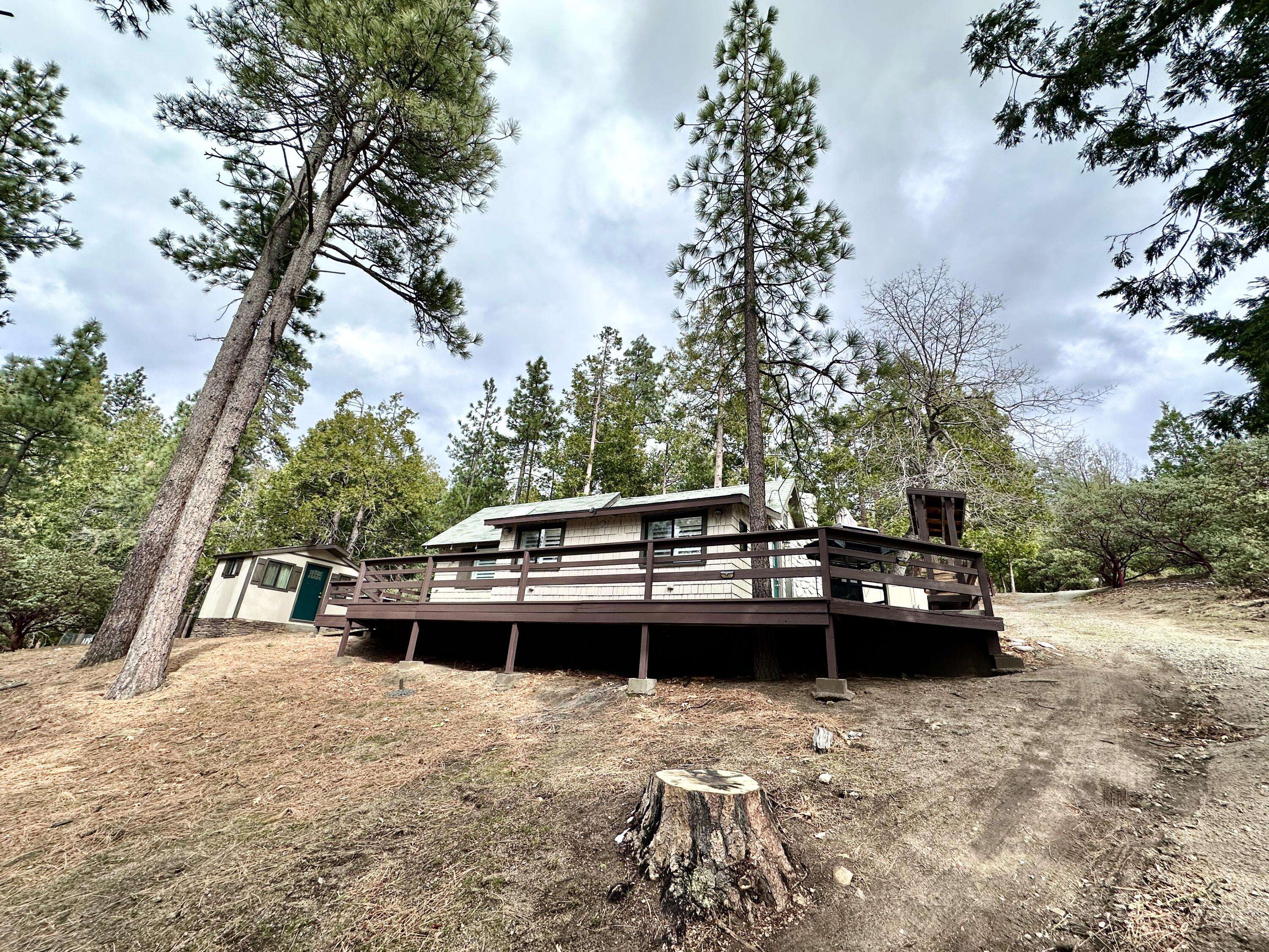 Idyllwild, CA 92549,27450 Saunders Meadow