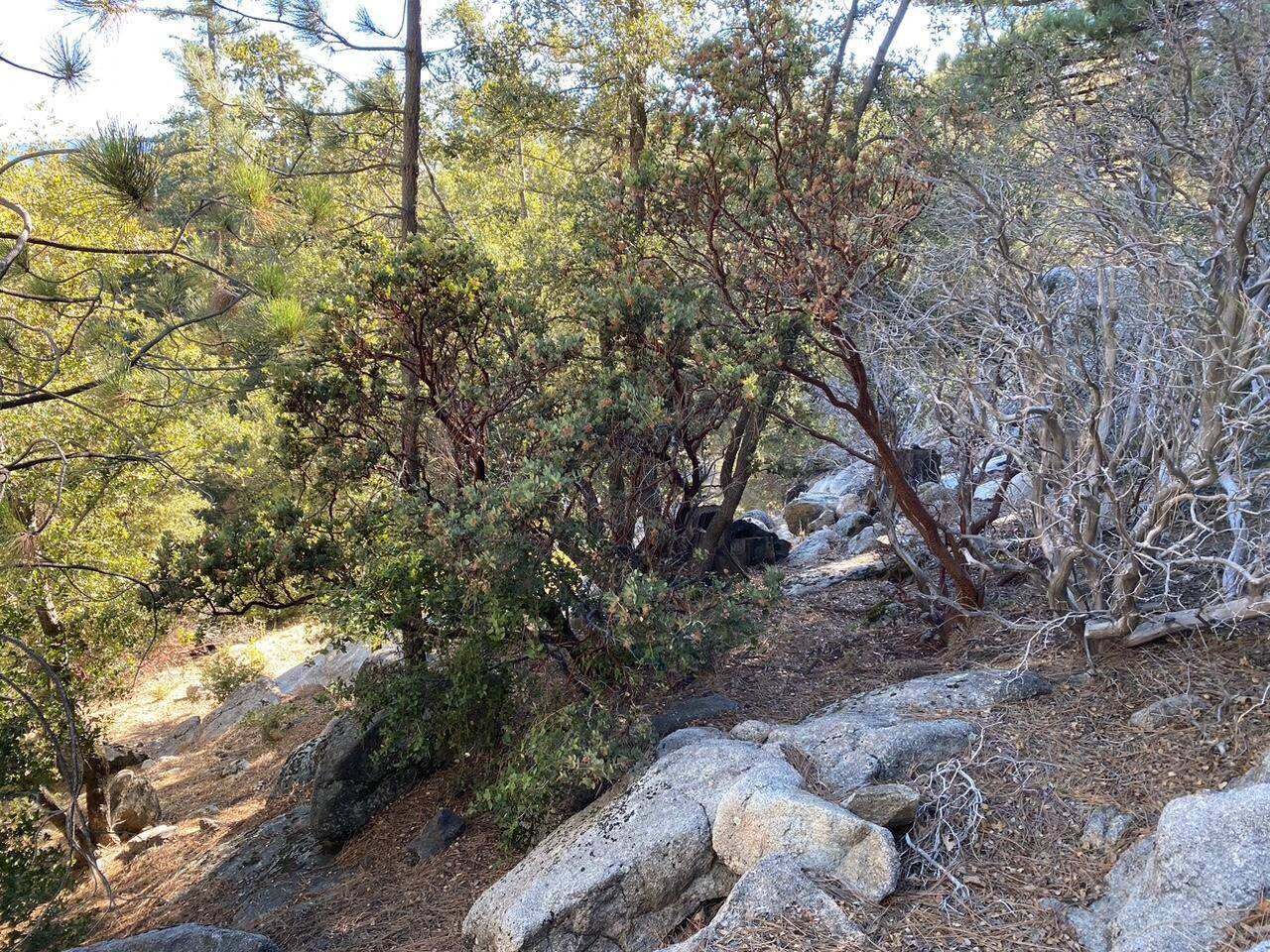 Idyllwild, CA 92549,0 Lakeview DR
