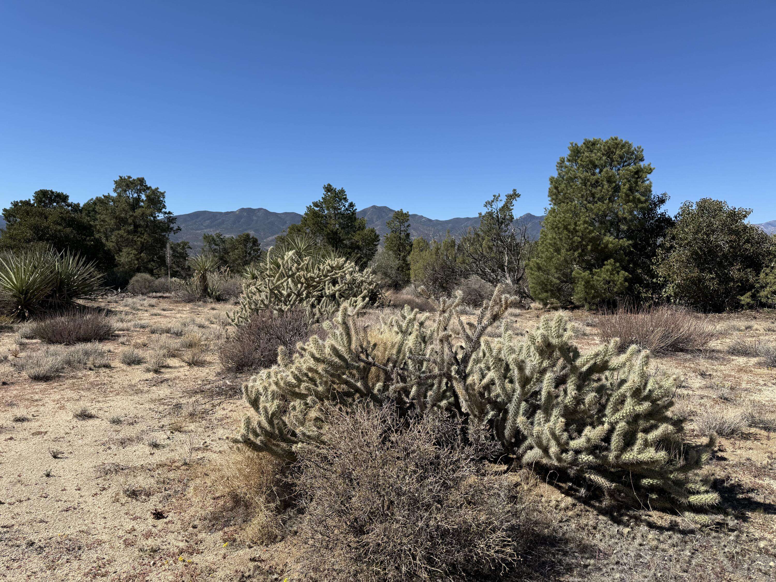 Mountain Center, CA 92561,0 Rockwood