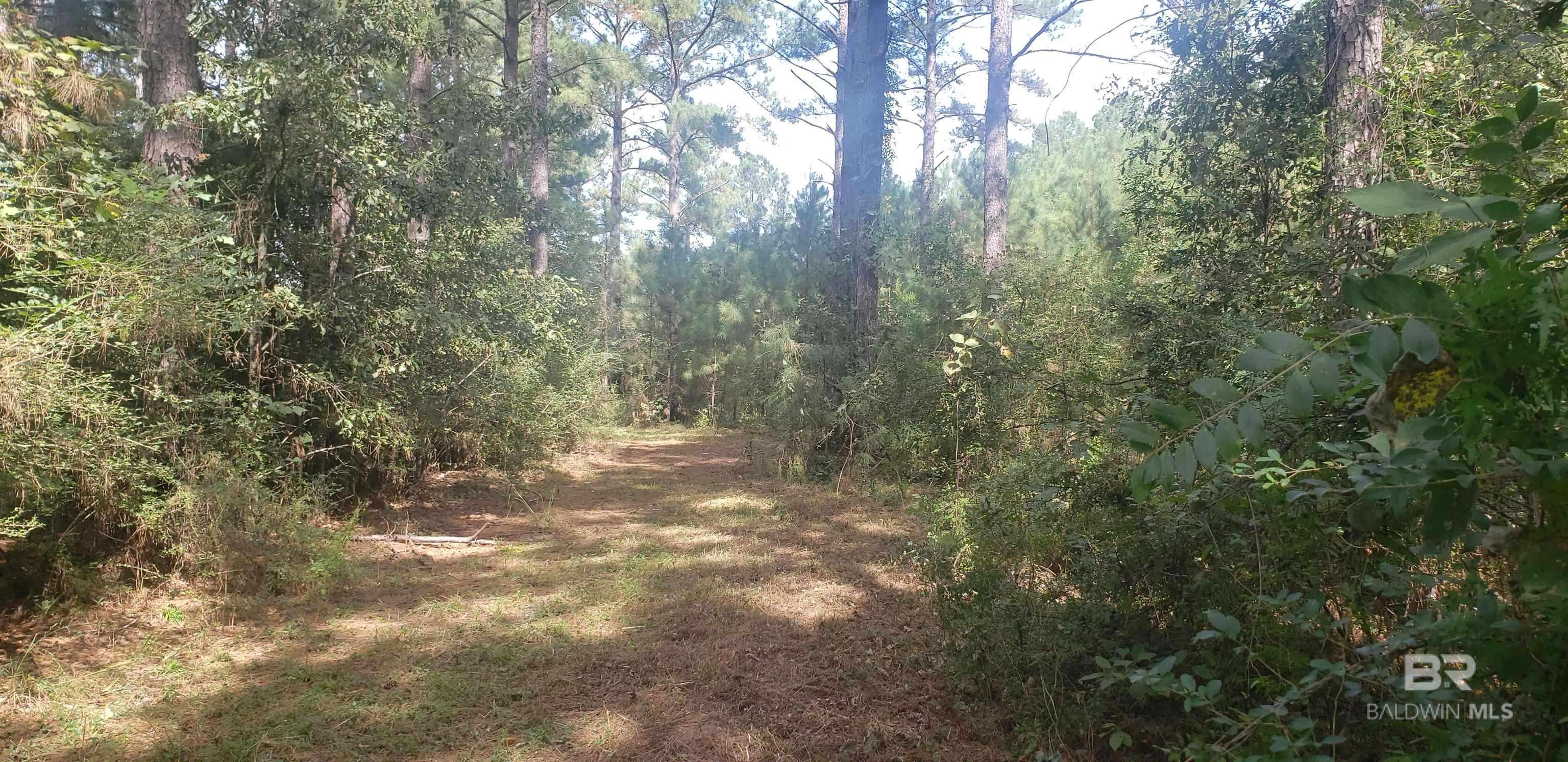 Atmore, AL 36502,1 McRae Street