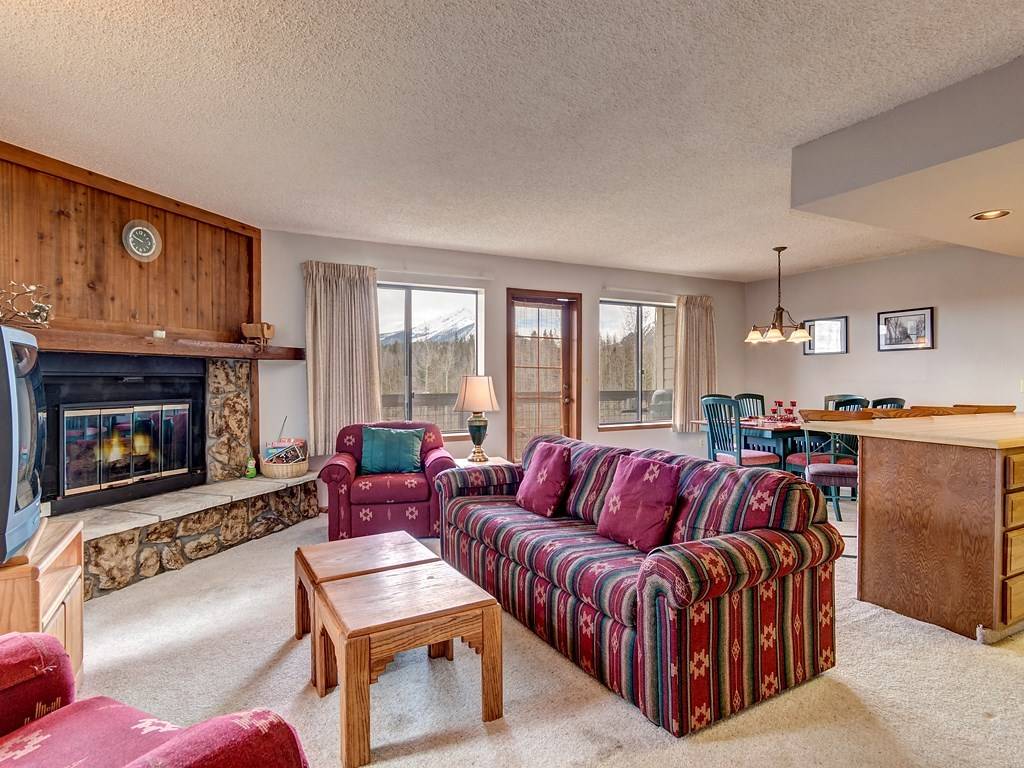 Silverthorne, CO 80498,4611 Ryan Gulch Road #4611