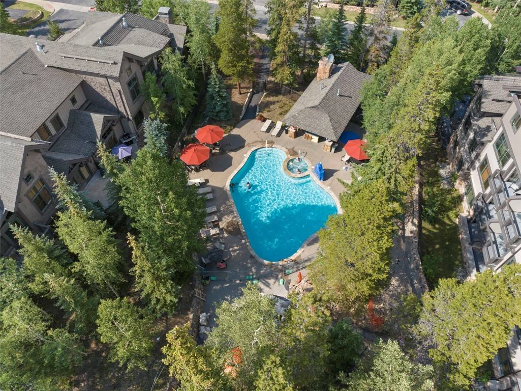 Breckenridge, CO 80424,50 Mountain Thunder Drive #1204