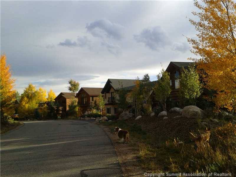 Silverthorne, CO 80498,2204 HAMILTON CREEK Road