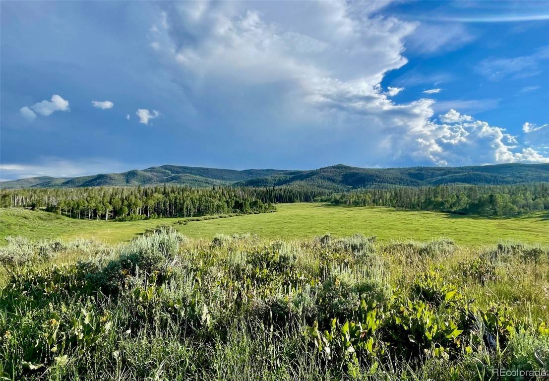 Oak Creek, CO 80467,Halter Trail