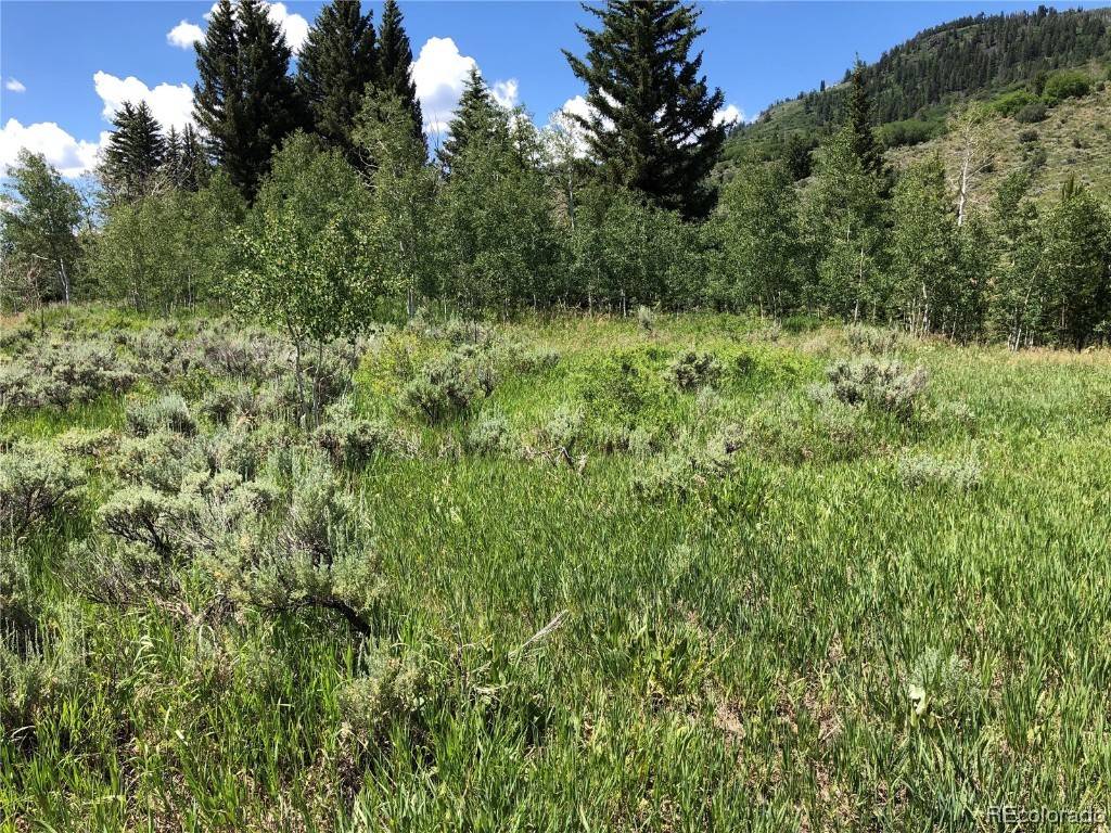 Oak Creek, CO 80467,22628 Commanche Road