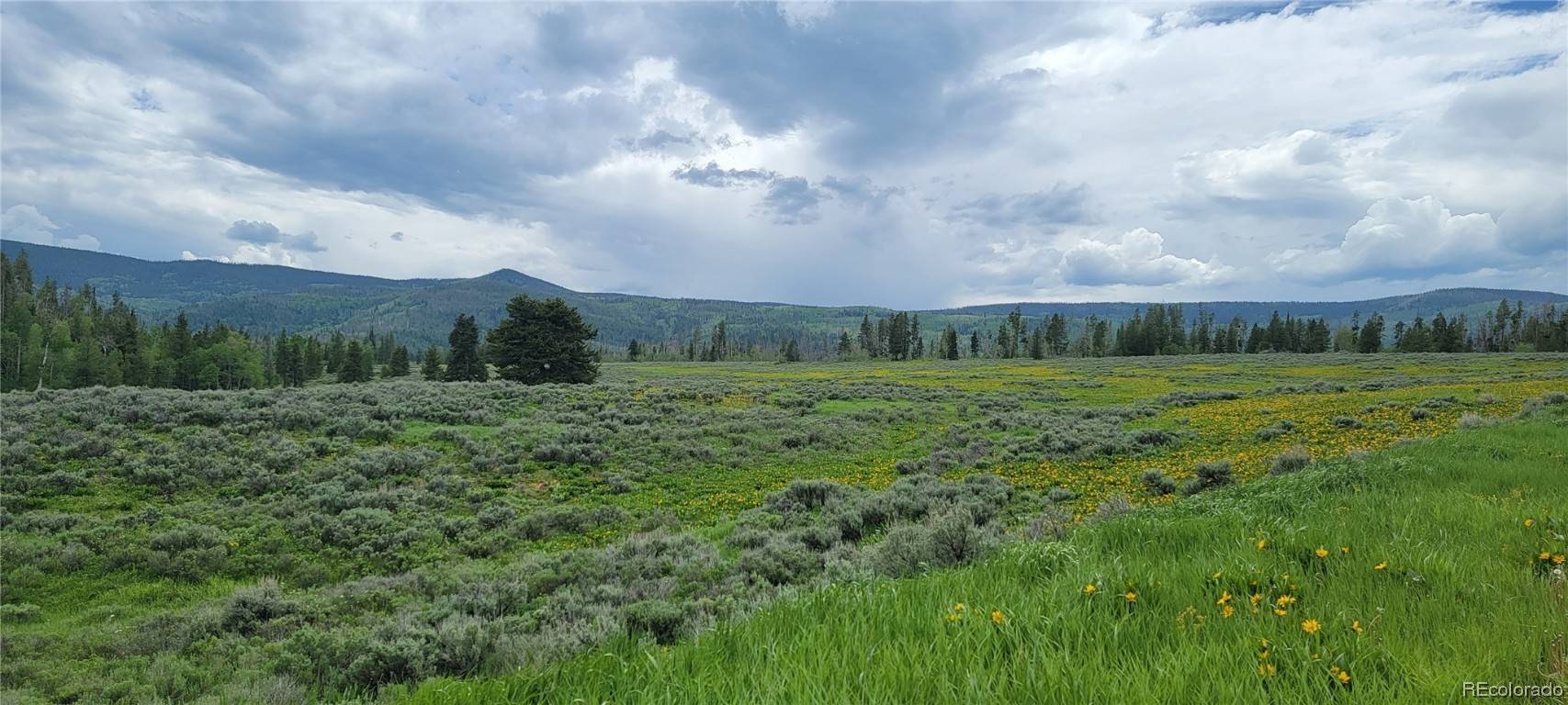 Oak Creek, CO 80467,Whiffle Tree Trail