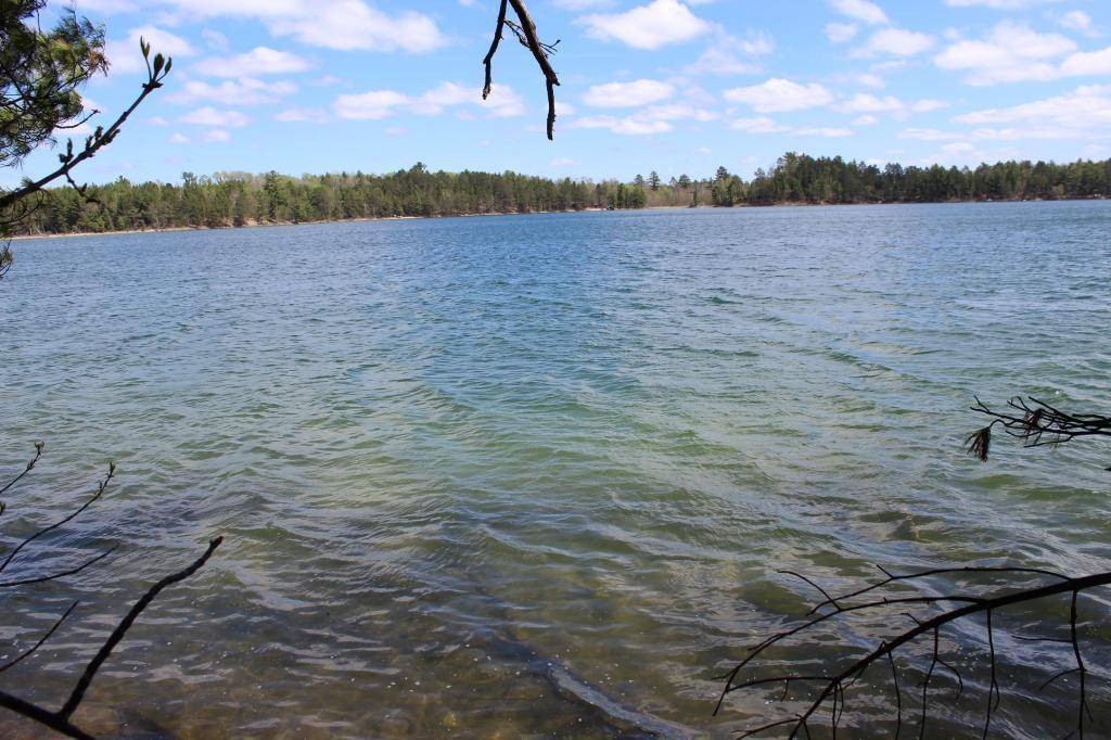 Nevis, MN 56467,TBD Hazelnut Trail